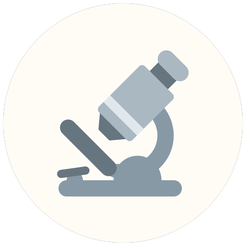 Brain icon