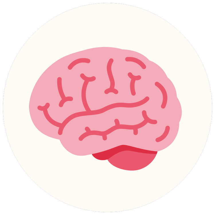 Brain icon