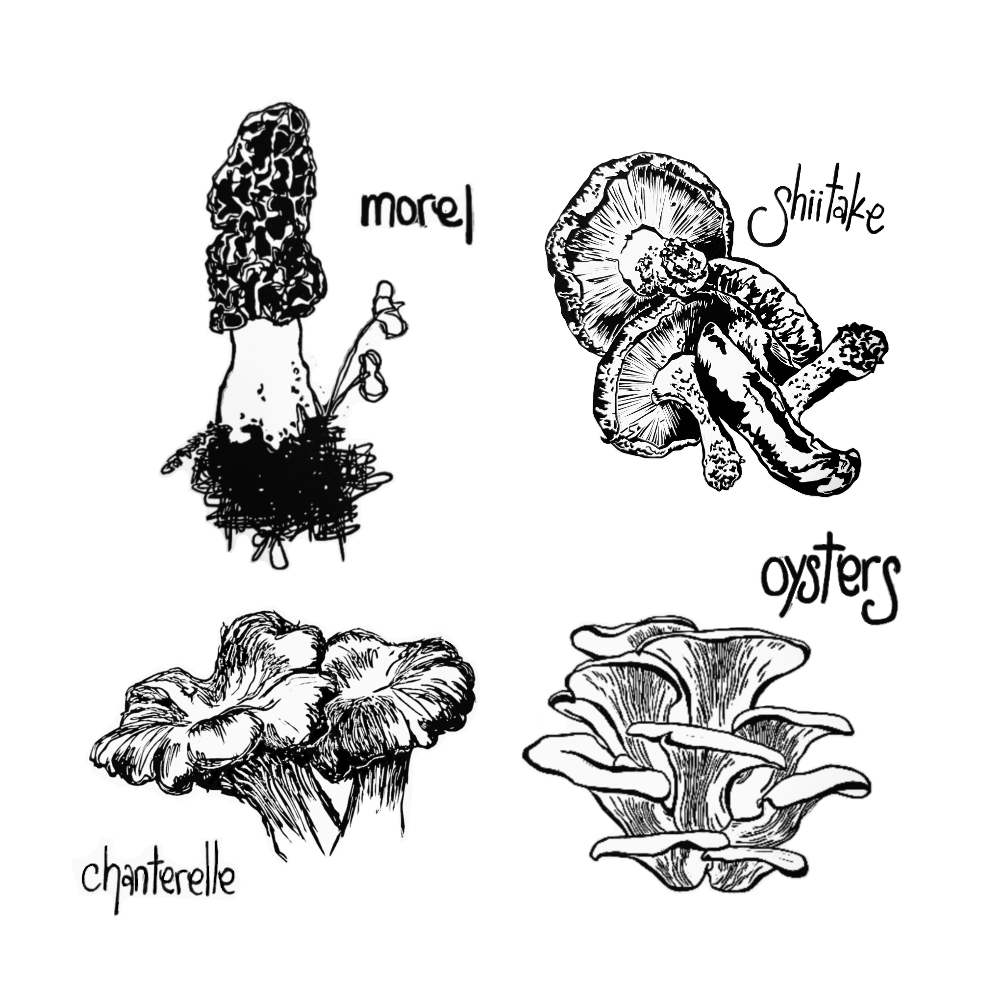 Edible mushrooms (1).png