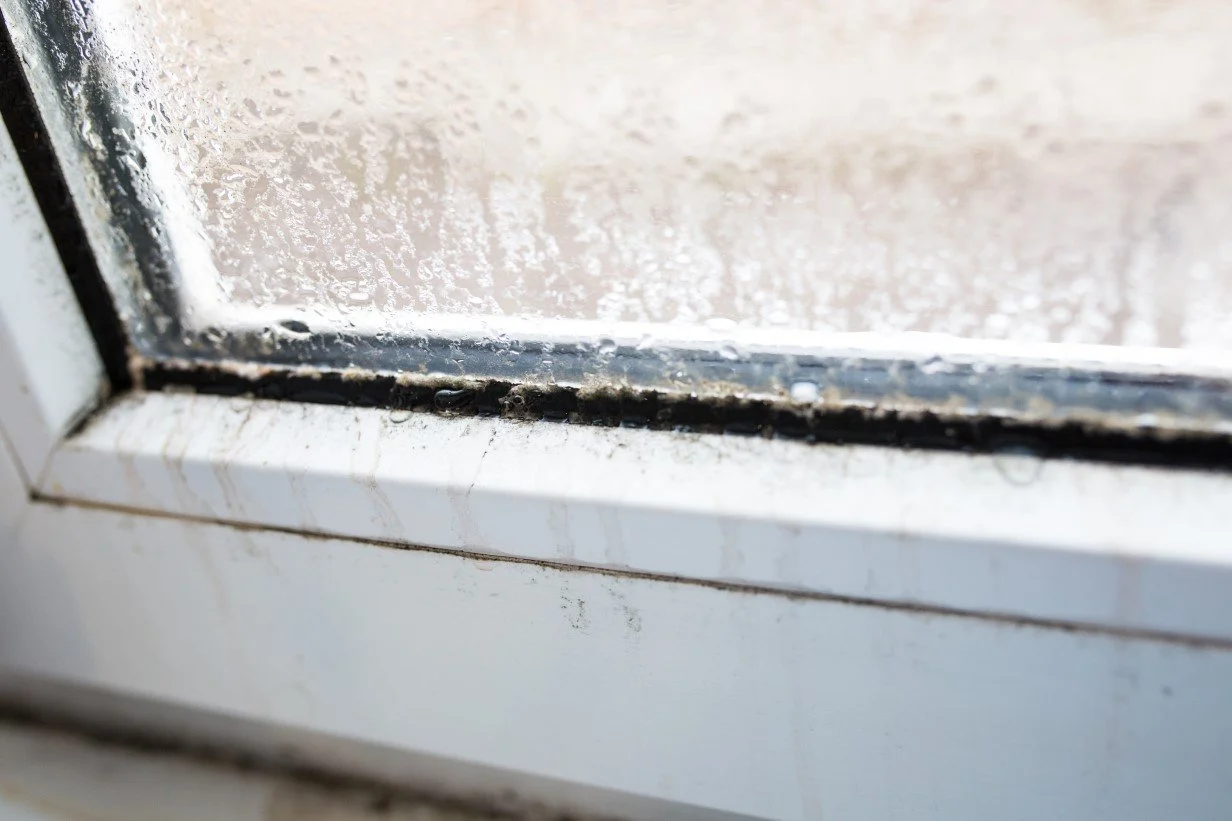 Prevent Mold and Mildew With ecoWashers Window Cleaning