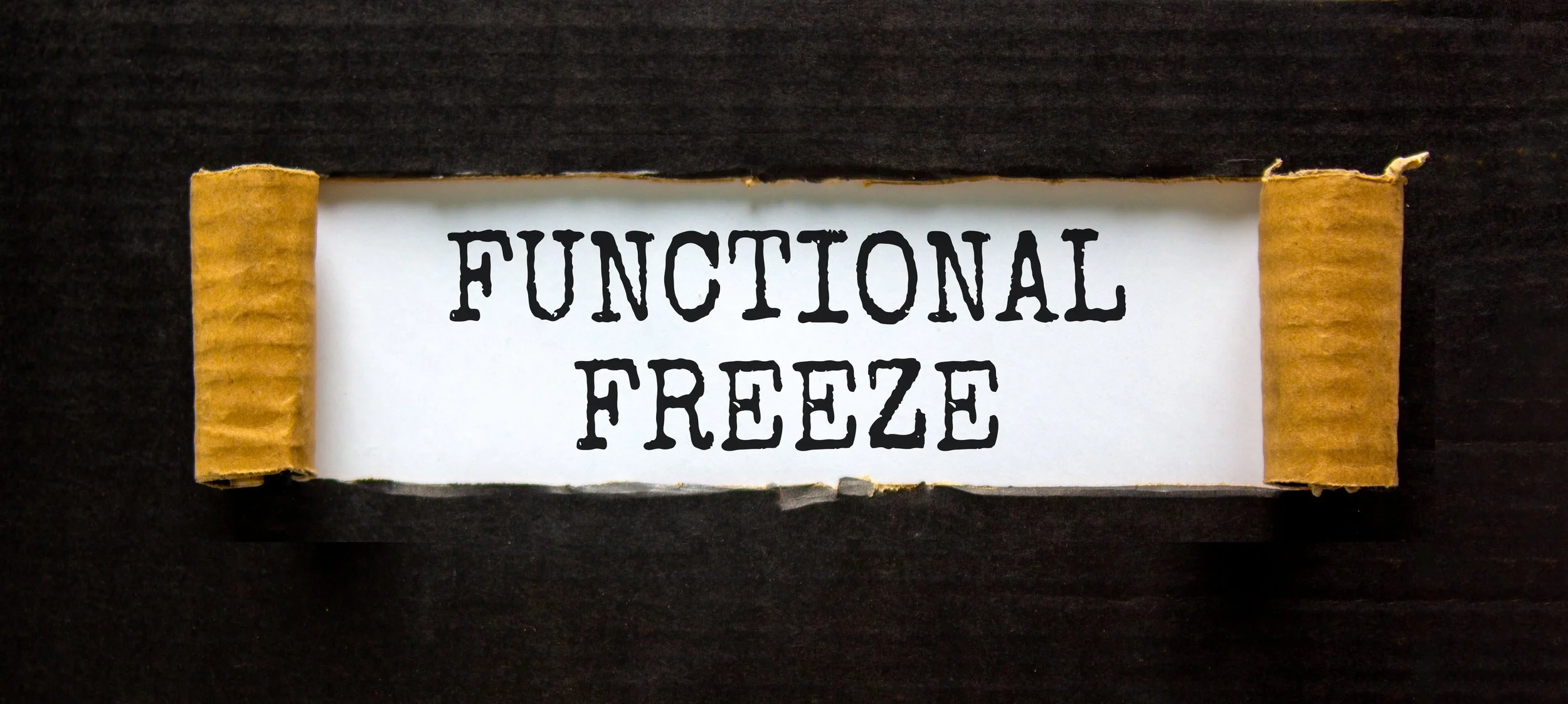 Why Do I Shut Down? Understanding the "Functional Freeze" in Trauma and Recovery