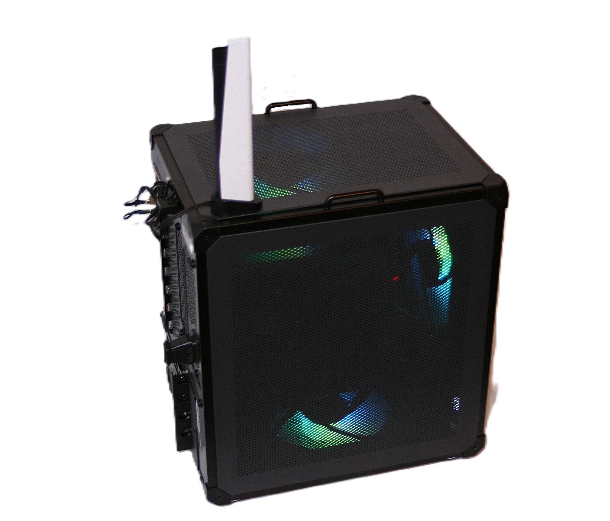 Golden Bone Series The Scottie