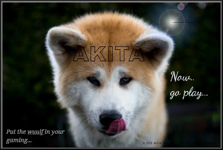 Akita7.jpg