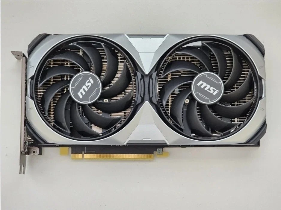 Platinum Bone Series - The Rottweiler