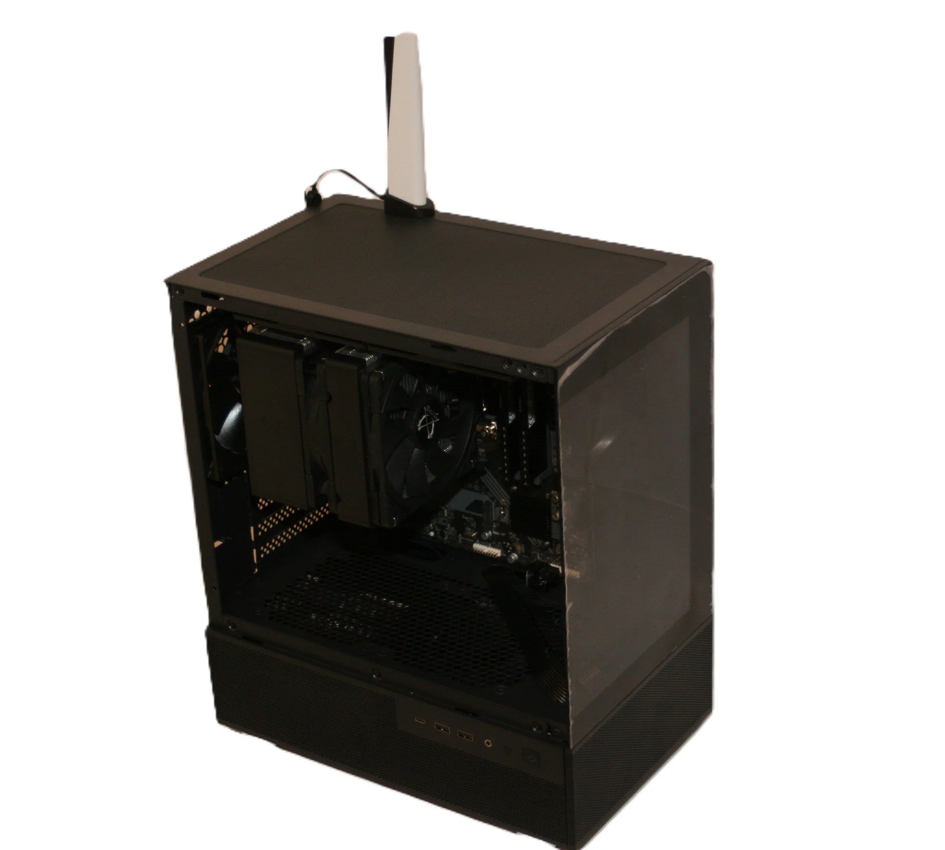 Golden Bone Series - The Dobermann