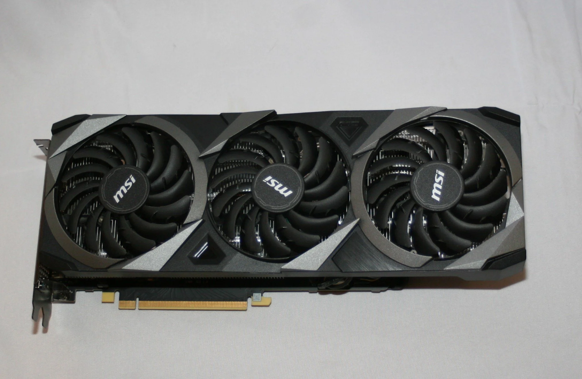 Golden Bone Series - The Dobermann