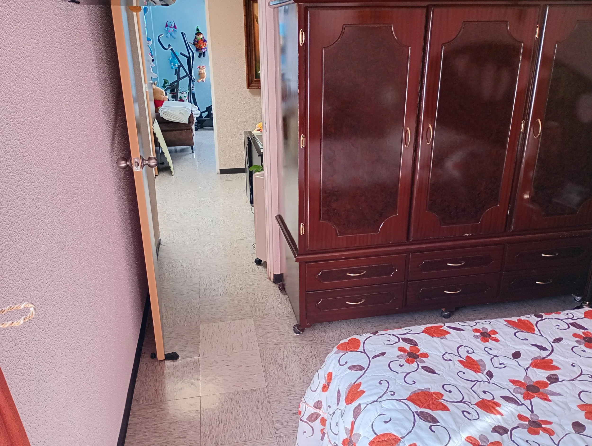 IMG_20251203_112859678_HDR.jpg