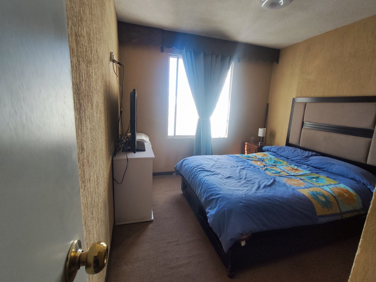 WhatsApp Image 2026-03-09 at 12.12.57.jpeg