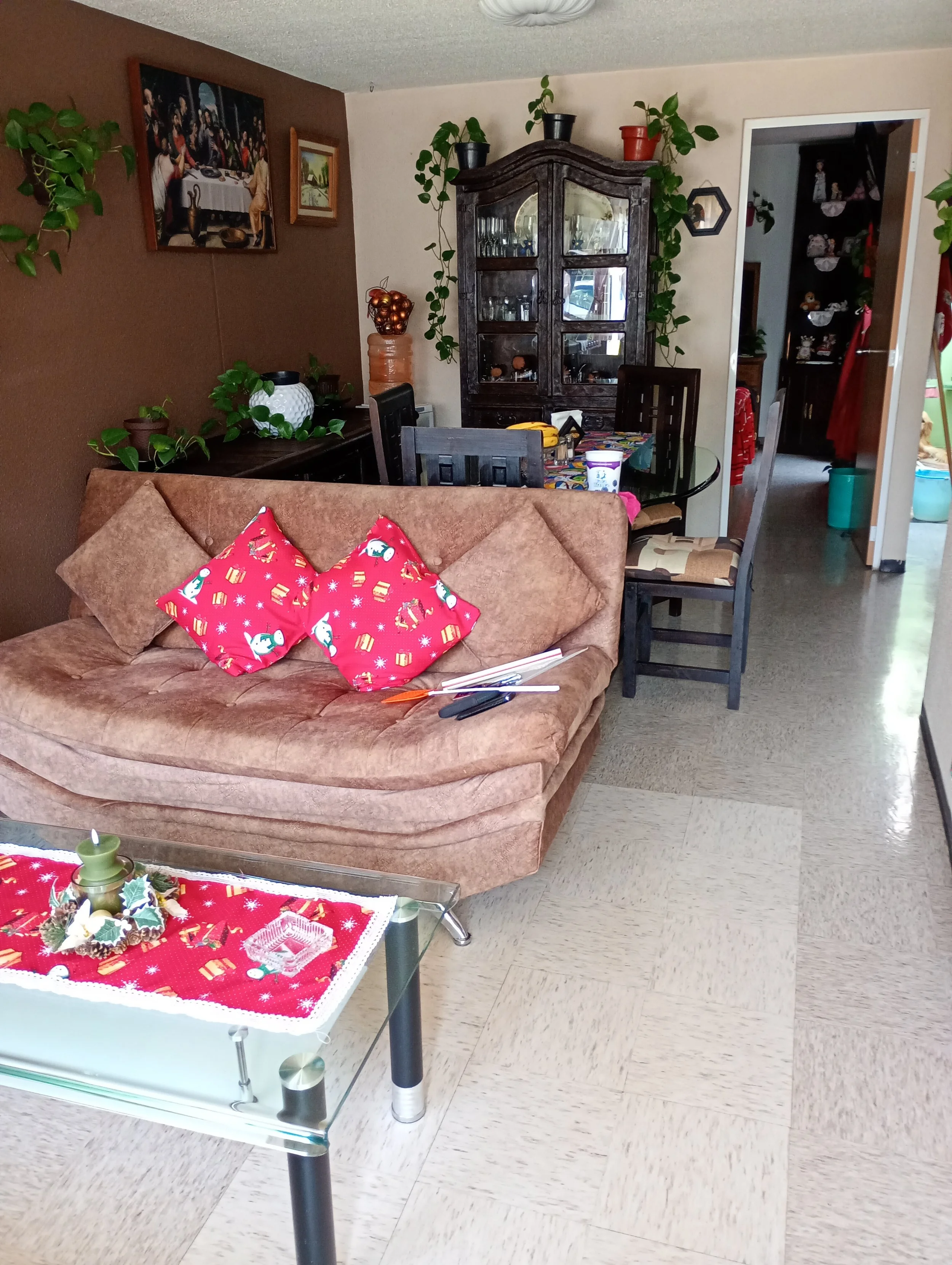 IMG_20251203_112932263_MFNR.jpg