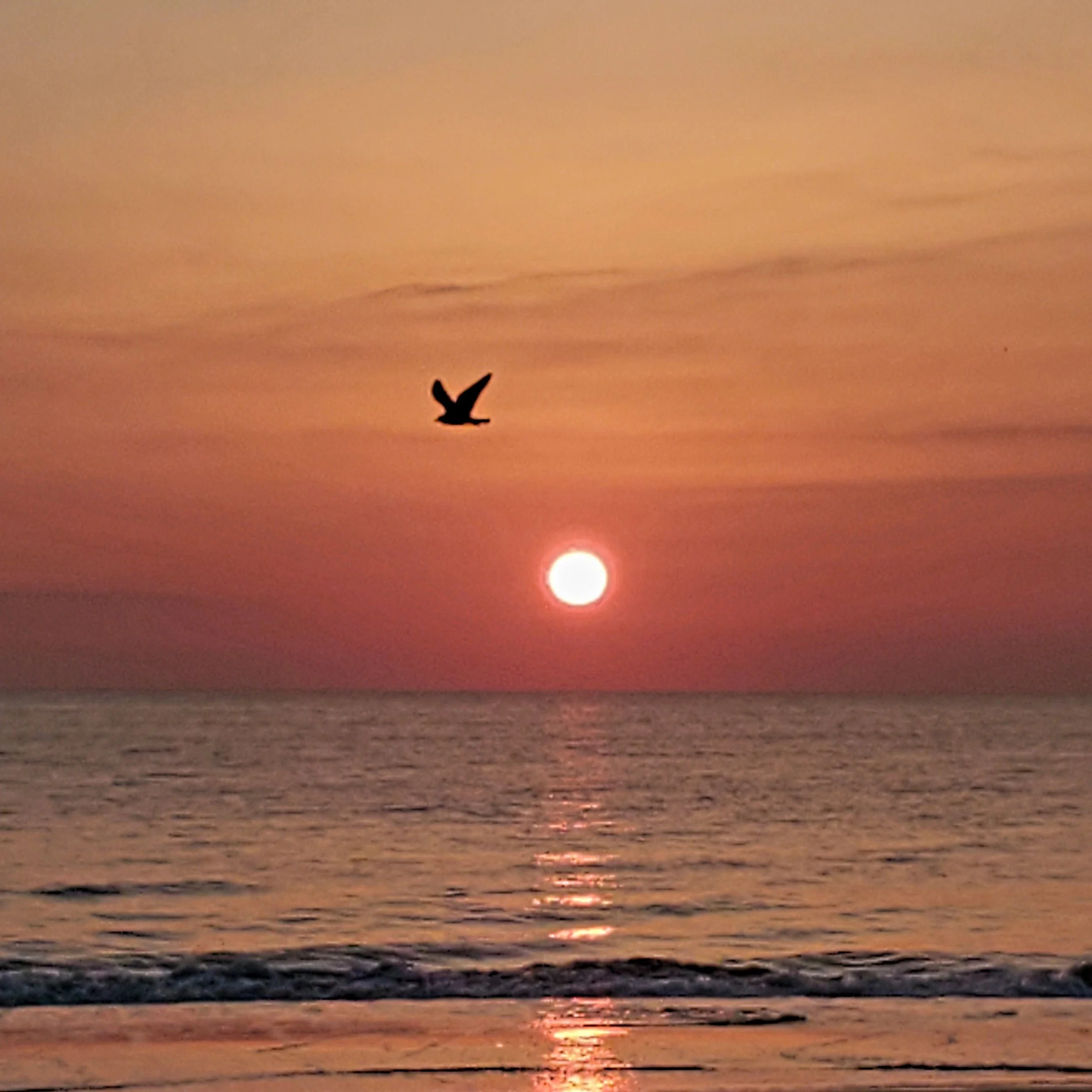 Rehoboth Sunrise 2021 Waters Edge.jpg