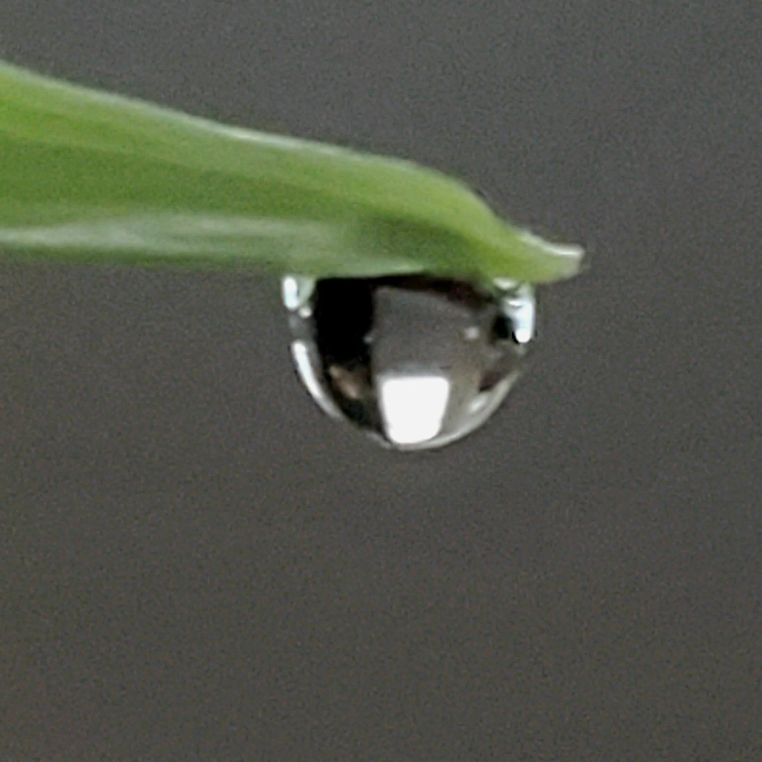 20250316_115310.jpg