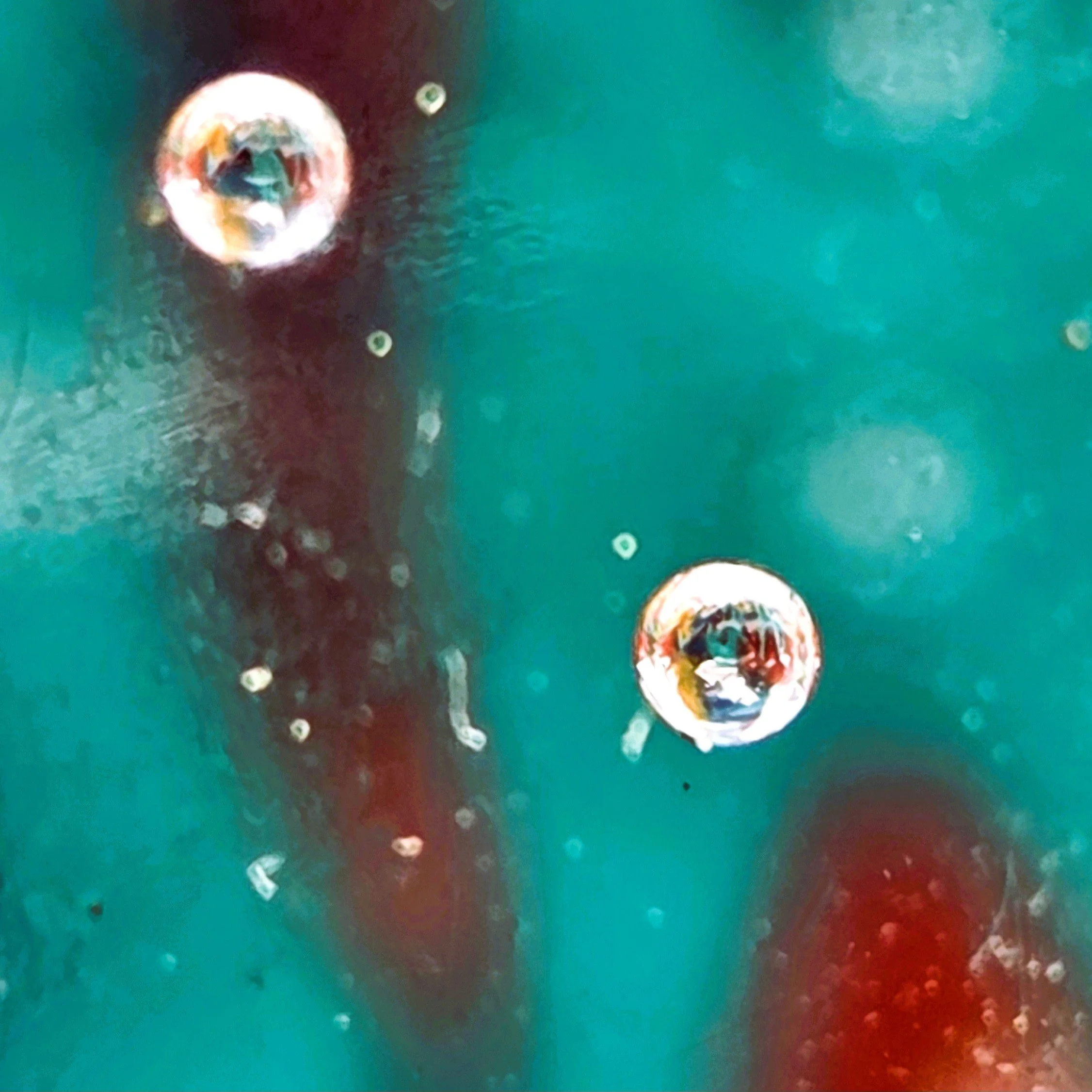 Teal and Red Drops Square.jpg