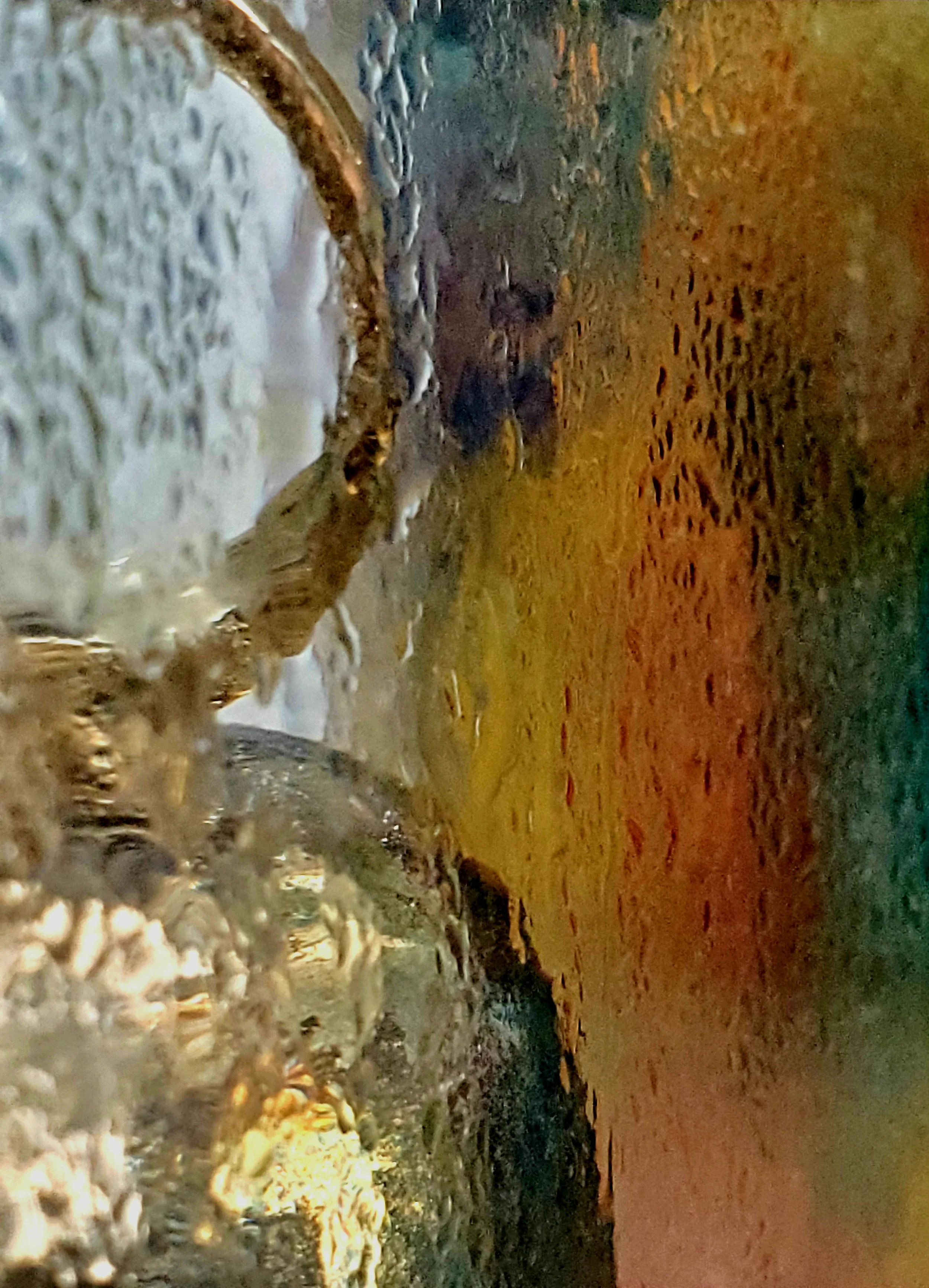20240919_072851.jpg