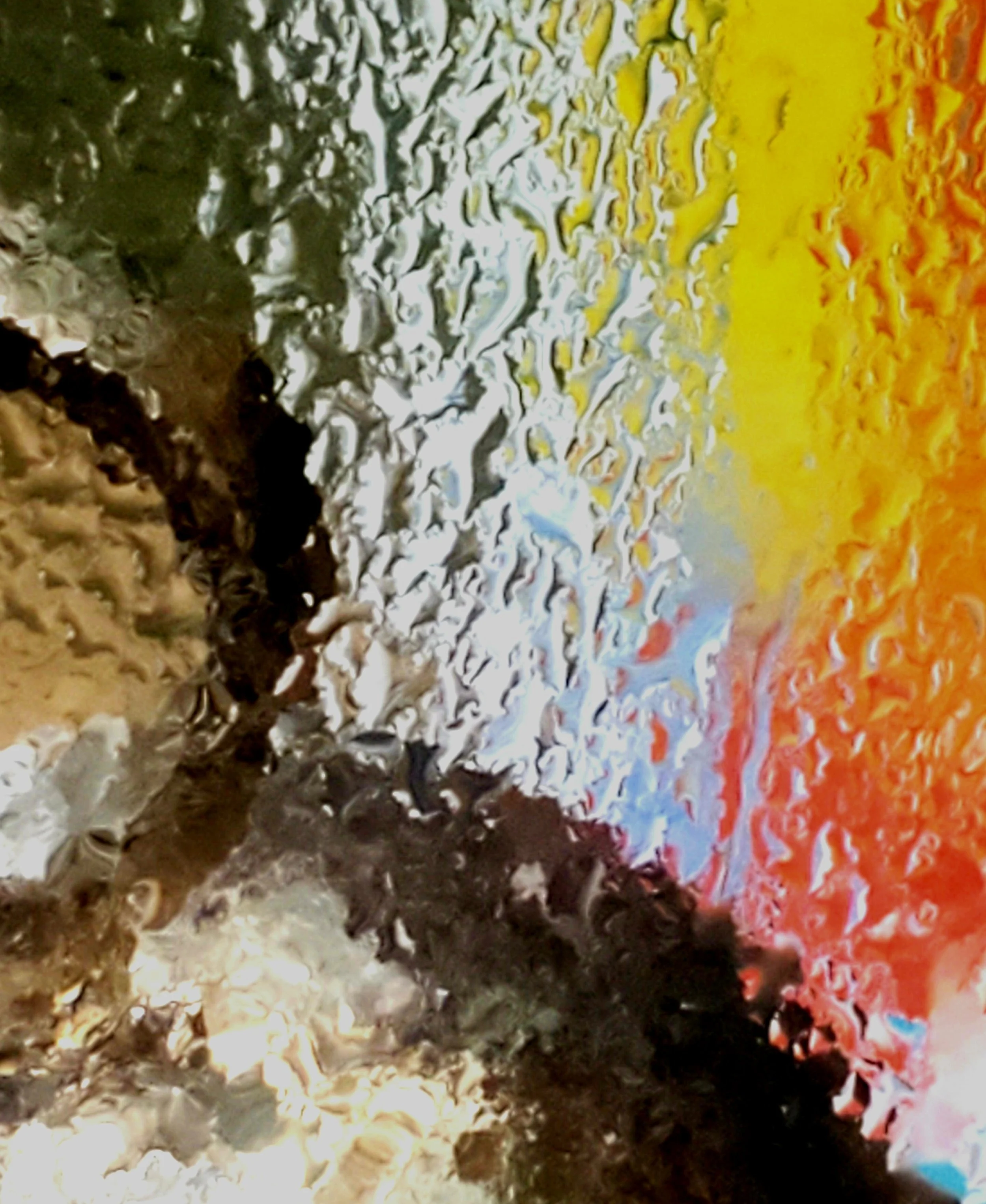 20240919_072638.jpg