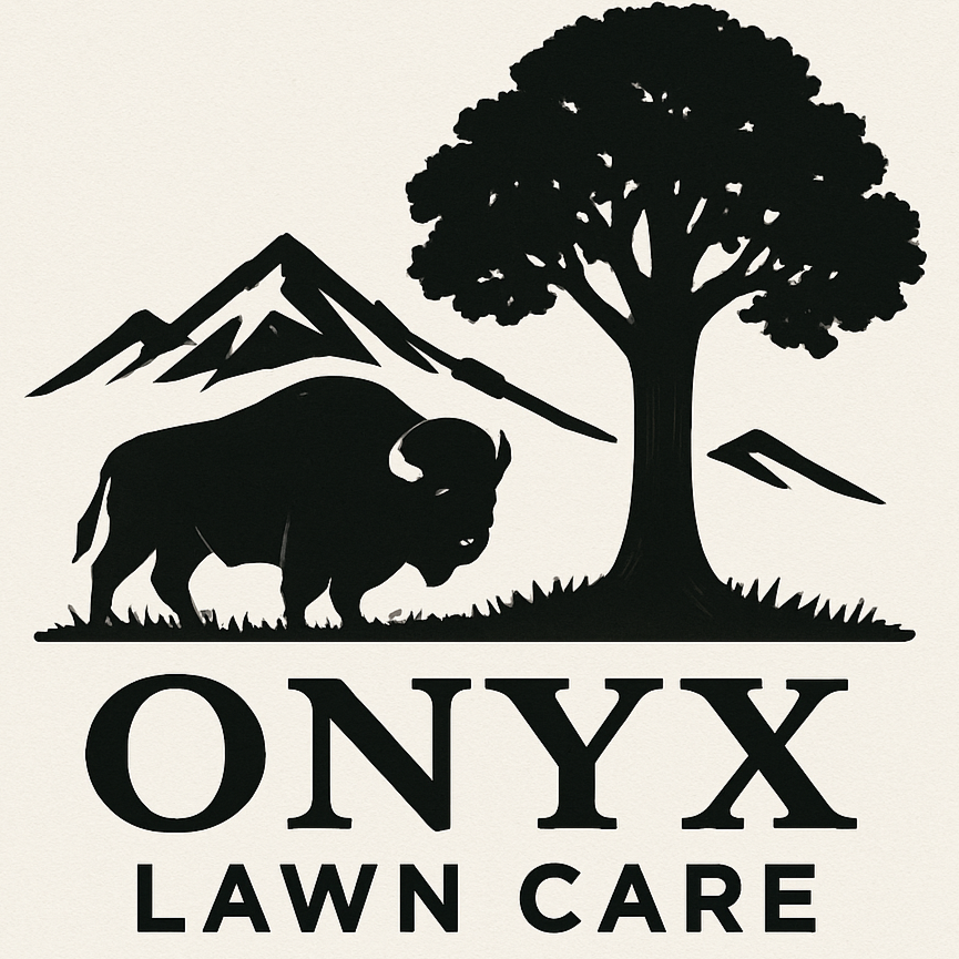 ONYX+draft.png