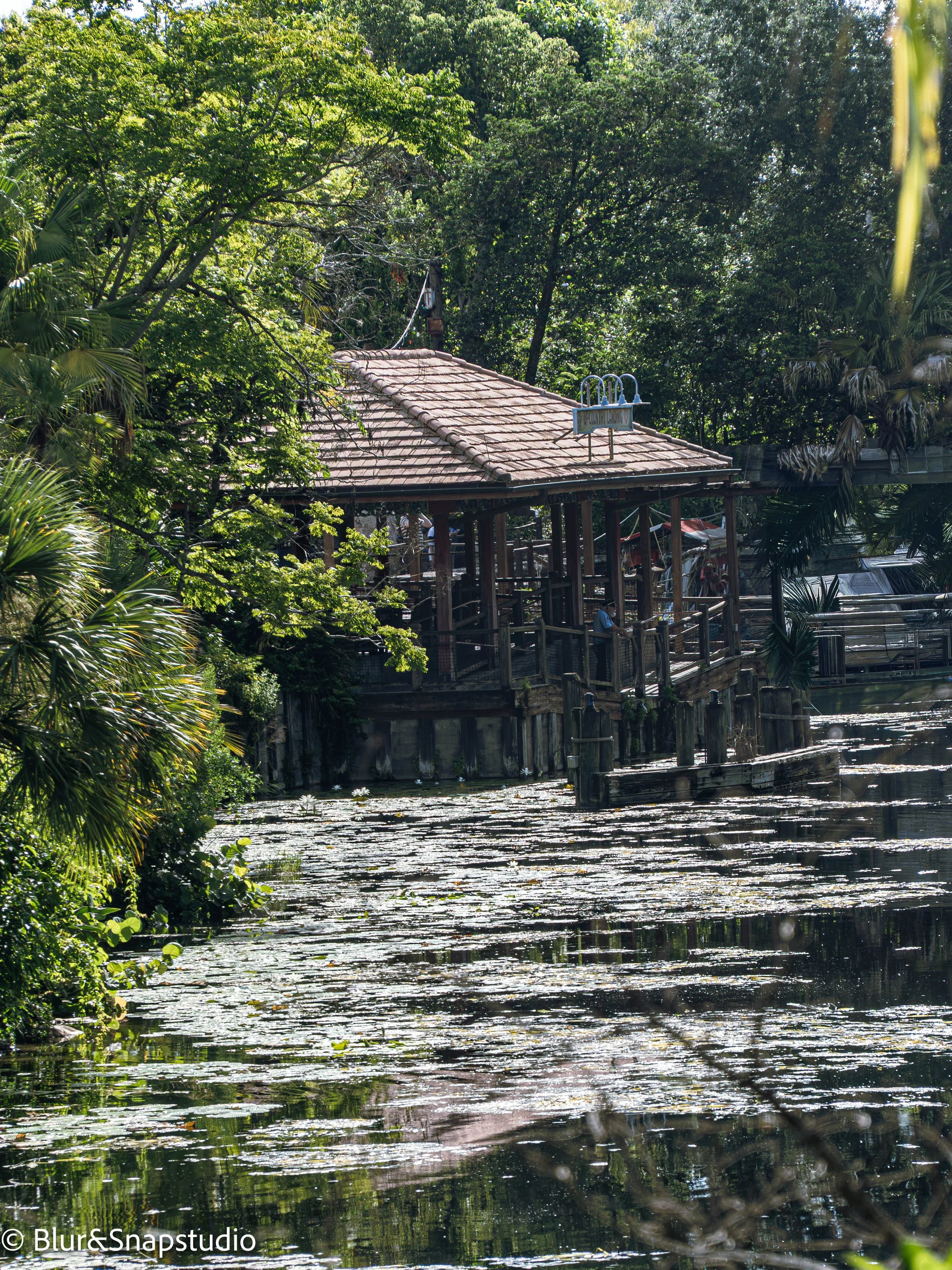 house on the river watermarked .jpg