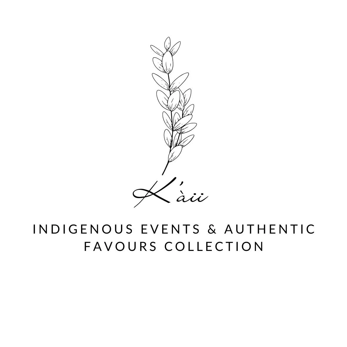 Indigenous Craft Circle Initiative