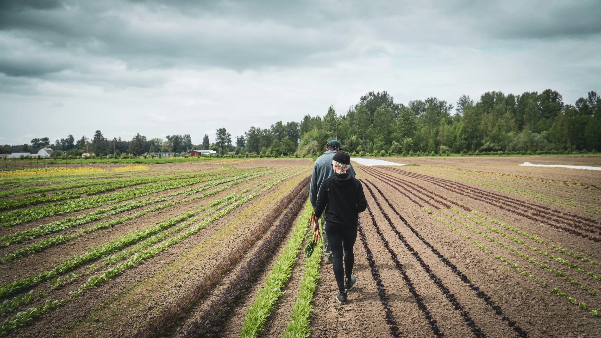 Evergreen Member Spotlight: Nick Spring and Spring Time Farm&nbsp;
