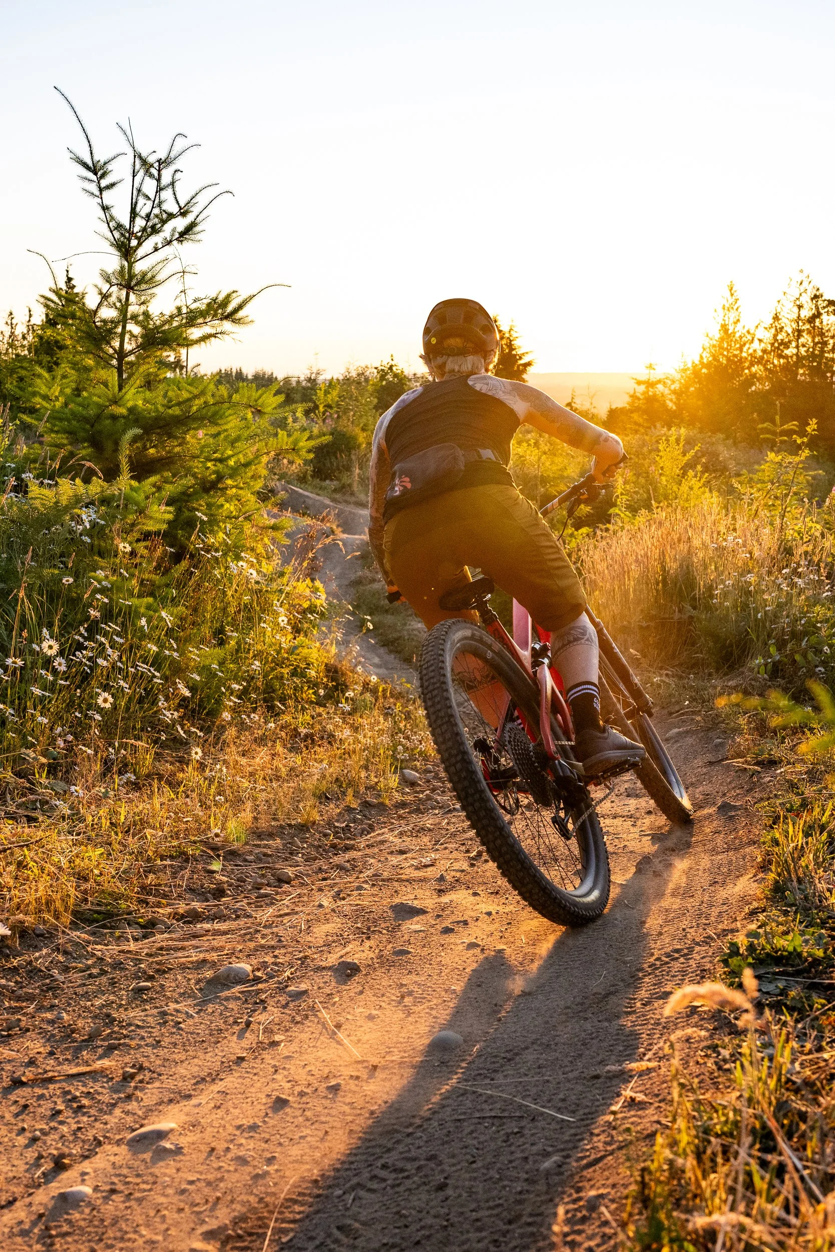 A person mountain biking on a dirt trail during sunset, surrounded by greenery and trees.