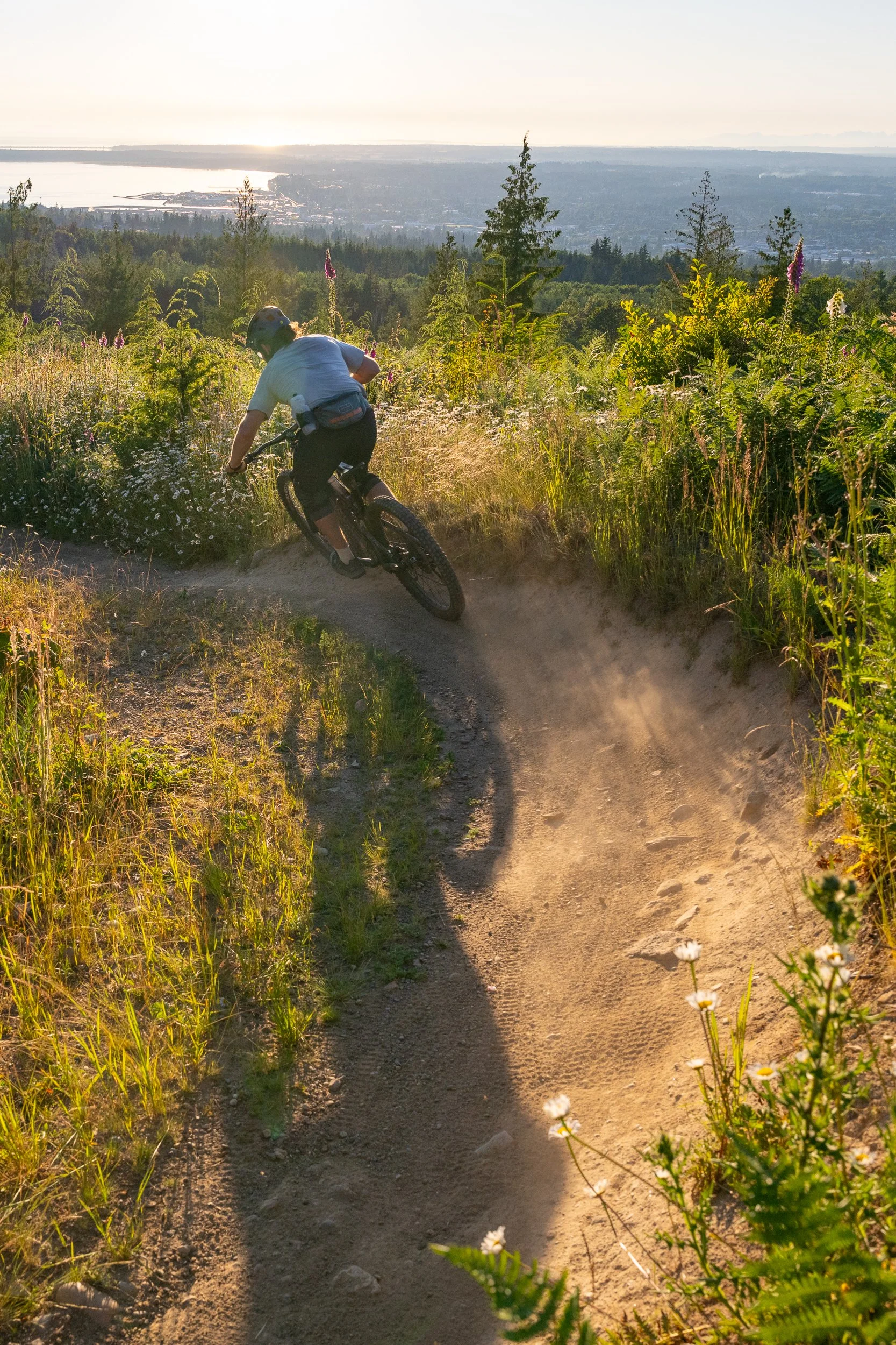 A person riding a mountain bike on a dirt trail through a grassy and flowering landscape with a river or lake in the distance at sunset.