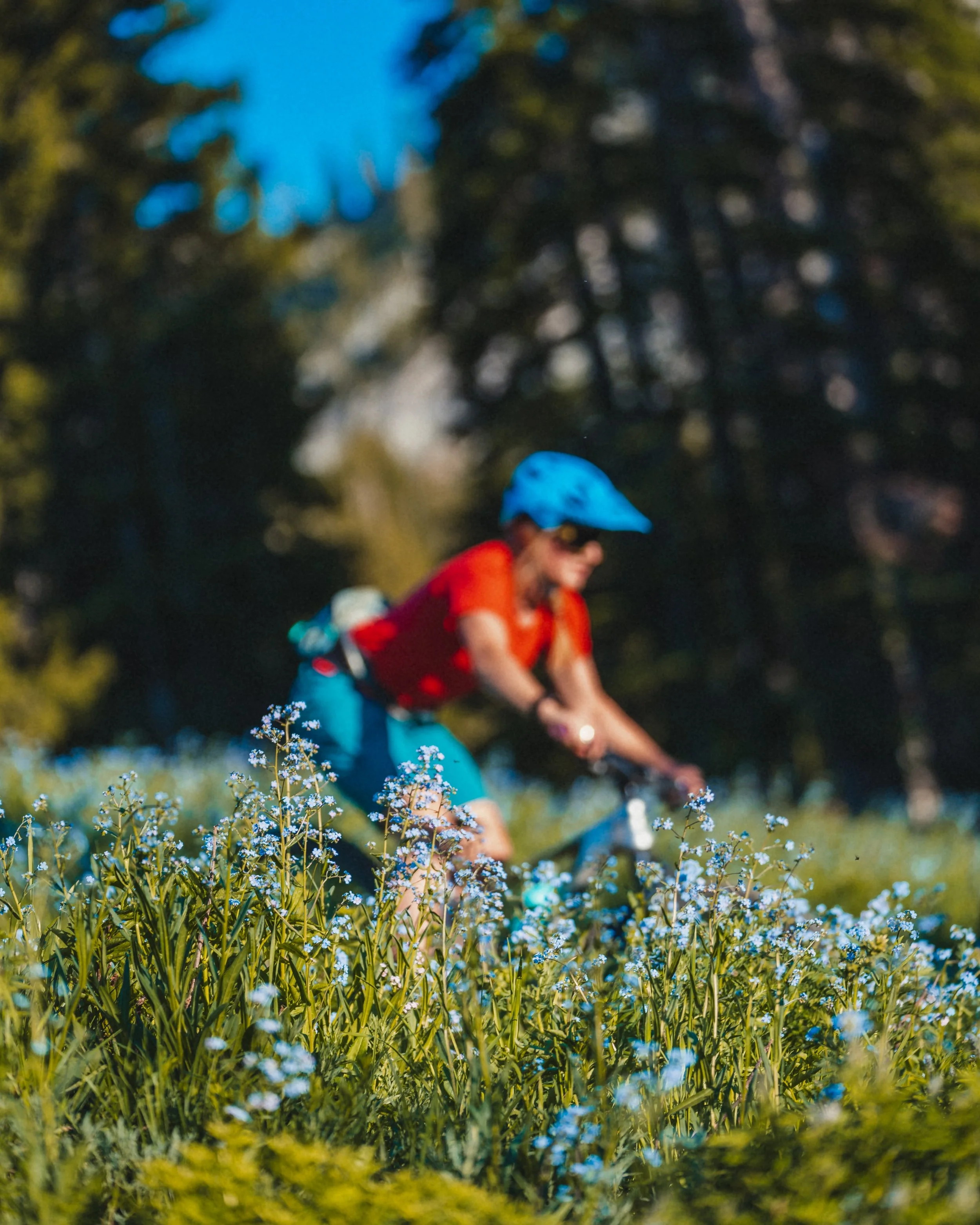 A person riding a mountain bike through a field of small blue flowers wearing a blue helmet, red shirt, and blue shorts, with a forest in the background.