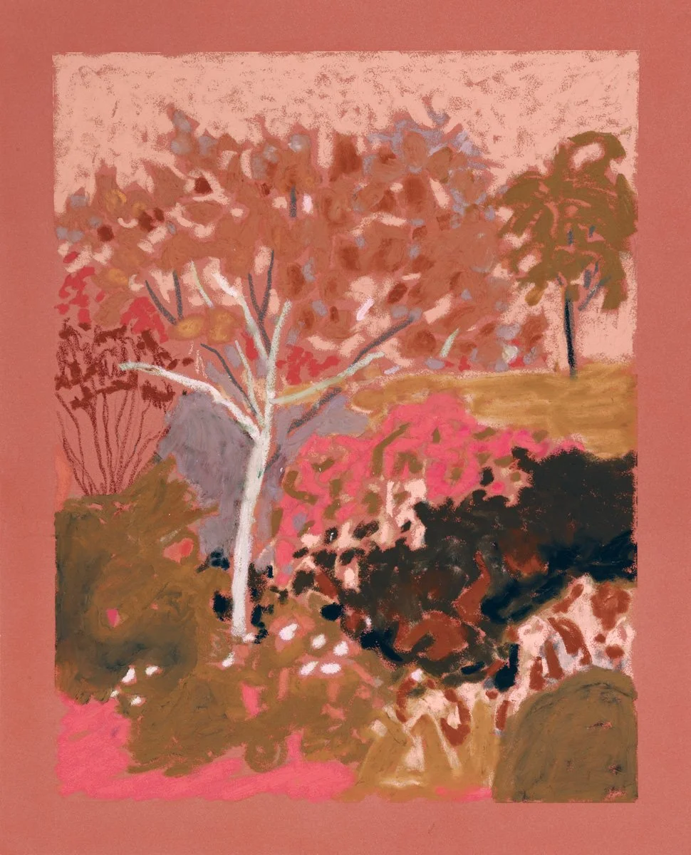 Chili Disc Golf Course #1