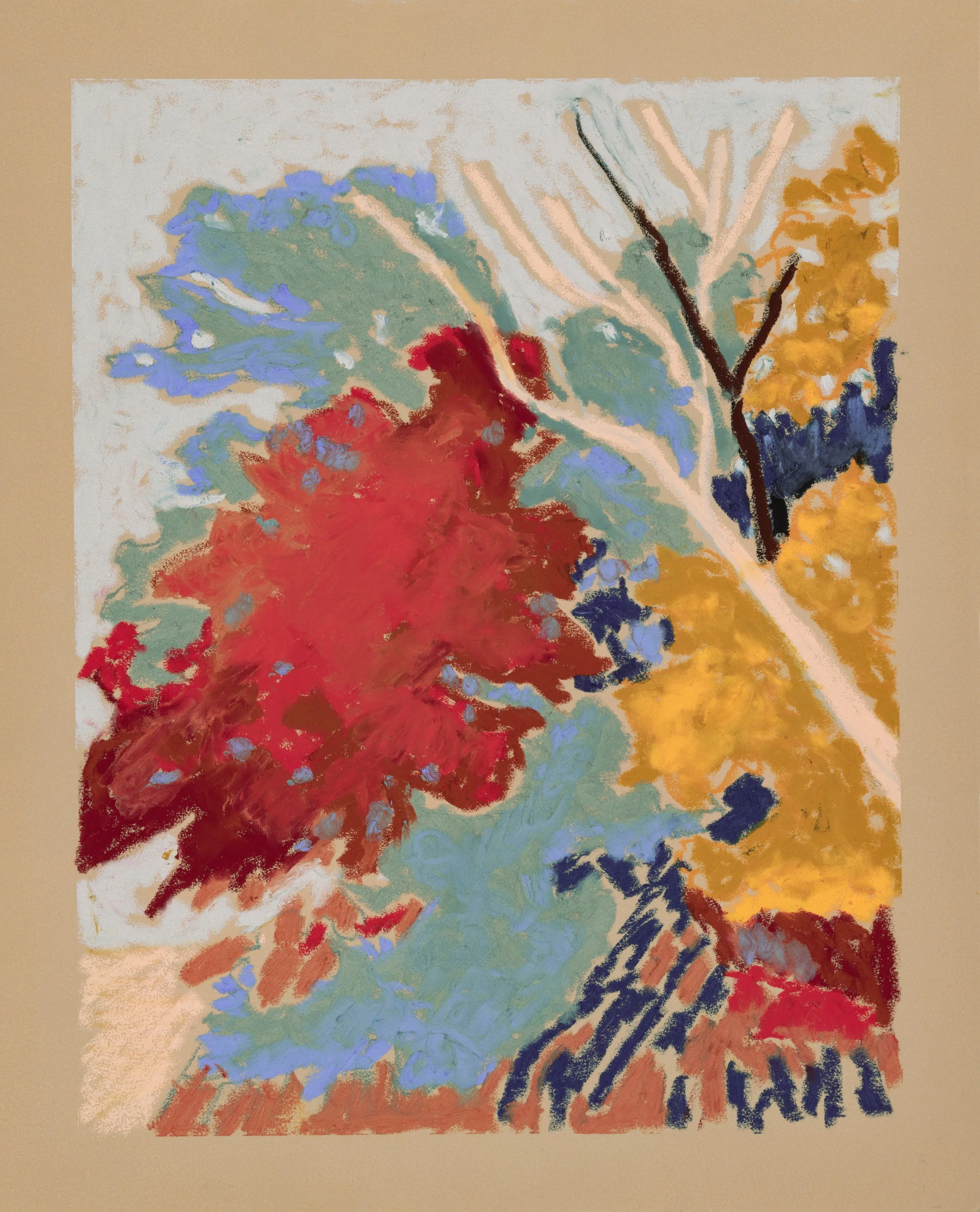 Knickerbocker Path #1