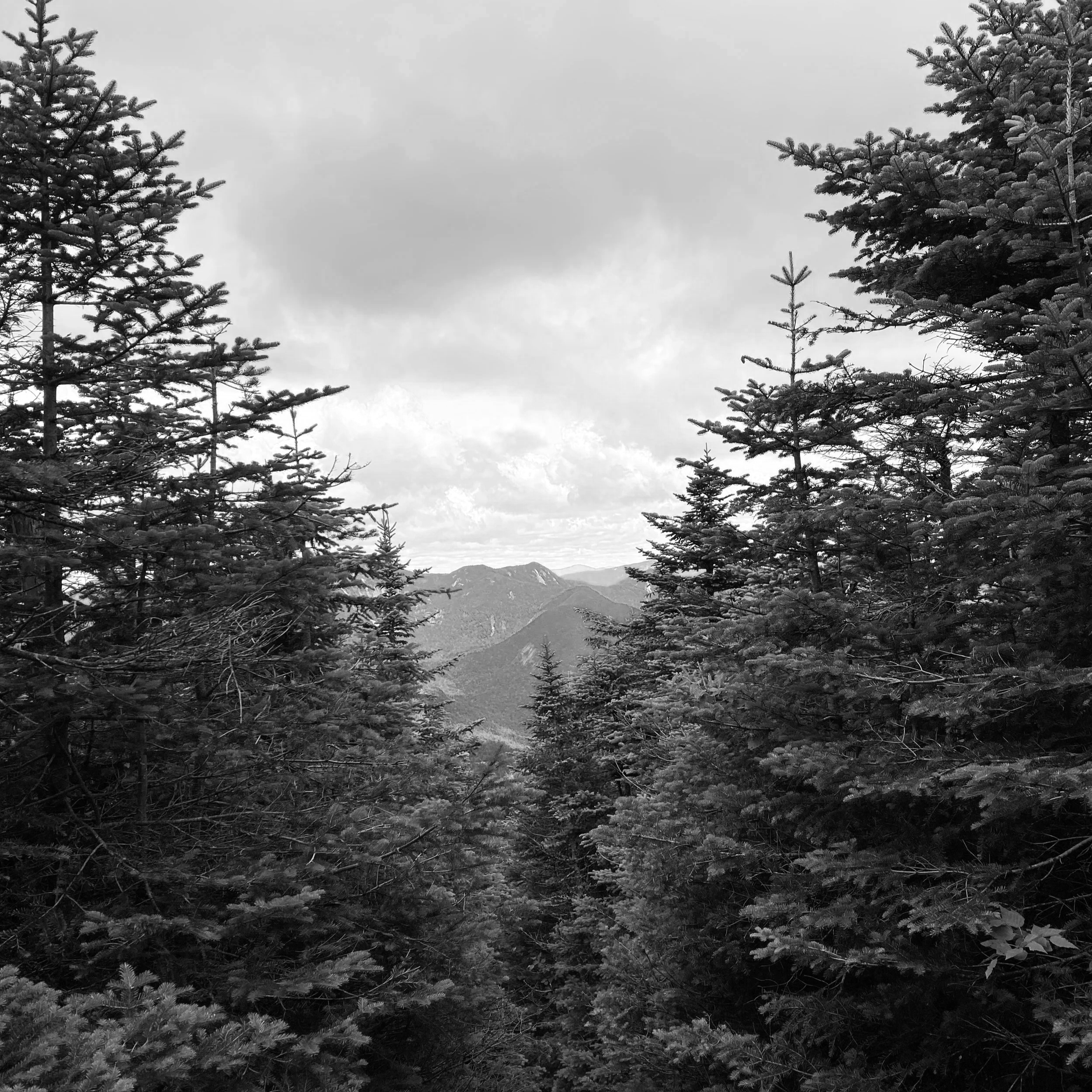 IMG_3526+2.png