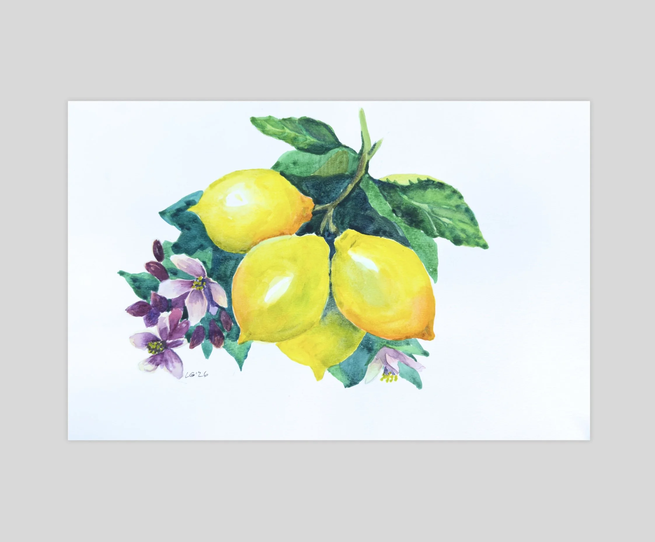 Lemons &Flowers 2.jpg