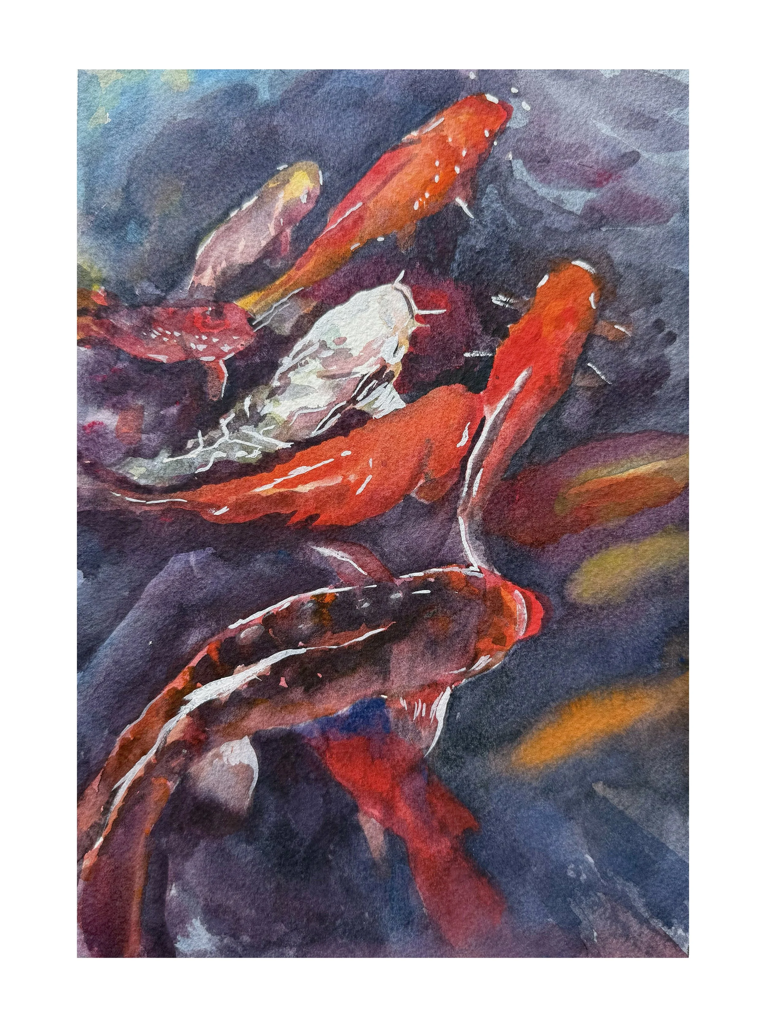 Crimson Koi.Deep Flow series.