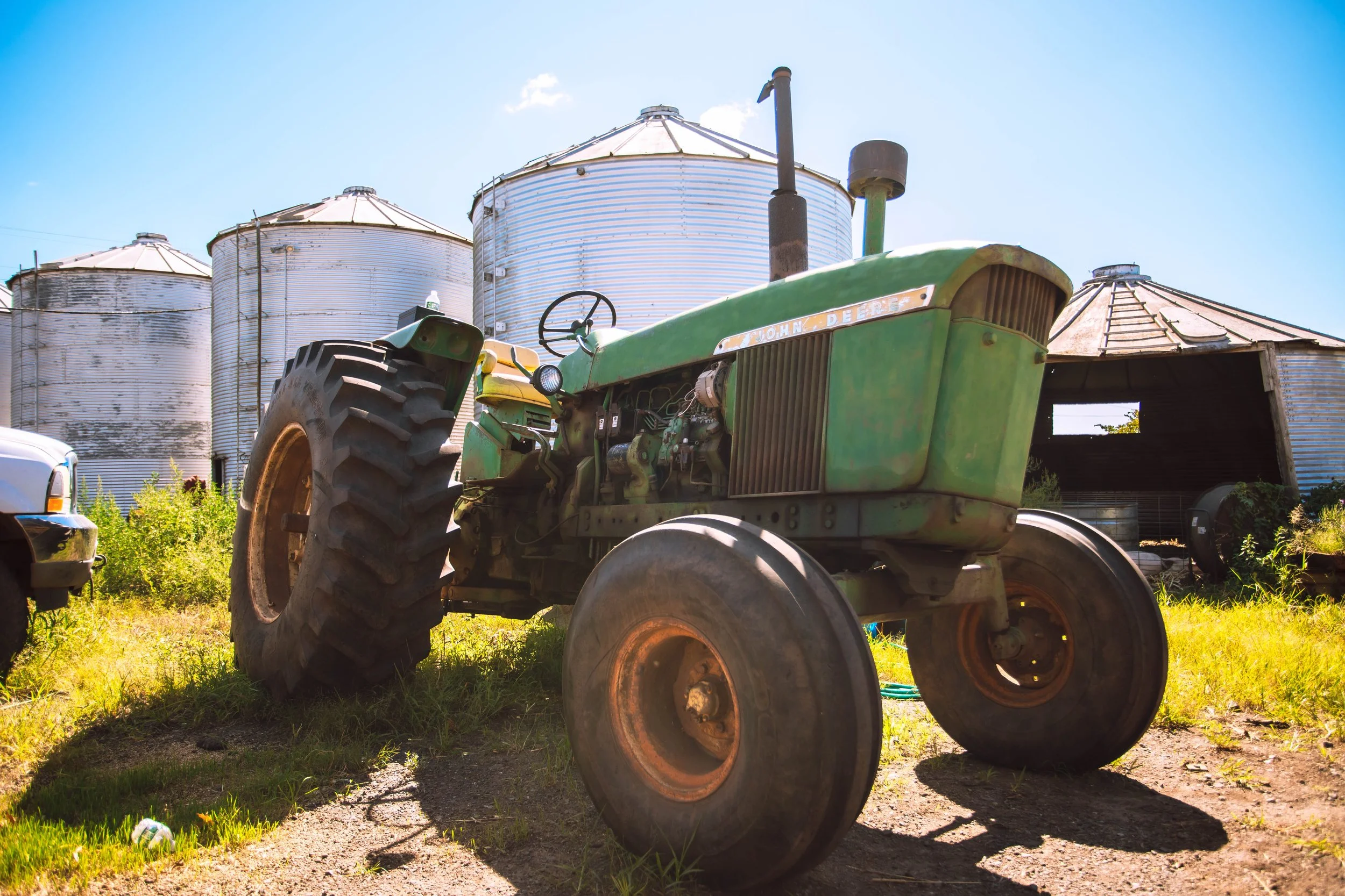 Middlebush Farm - 8-27-25 TB (21).jpg