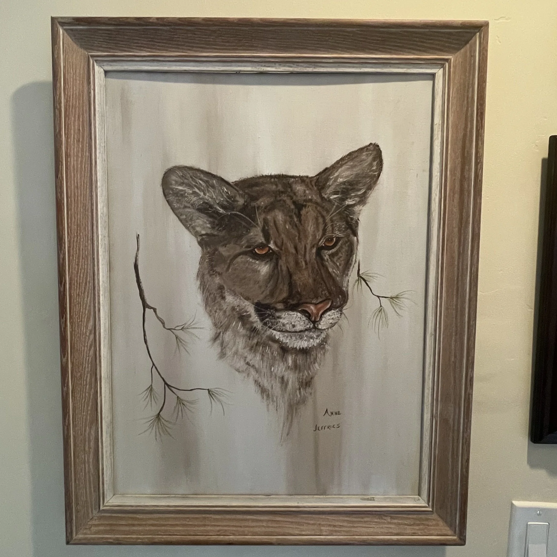 Cougar - Anne Jeffries.jpg