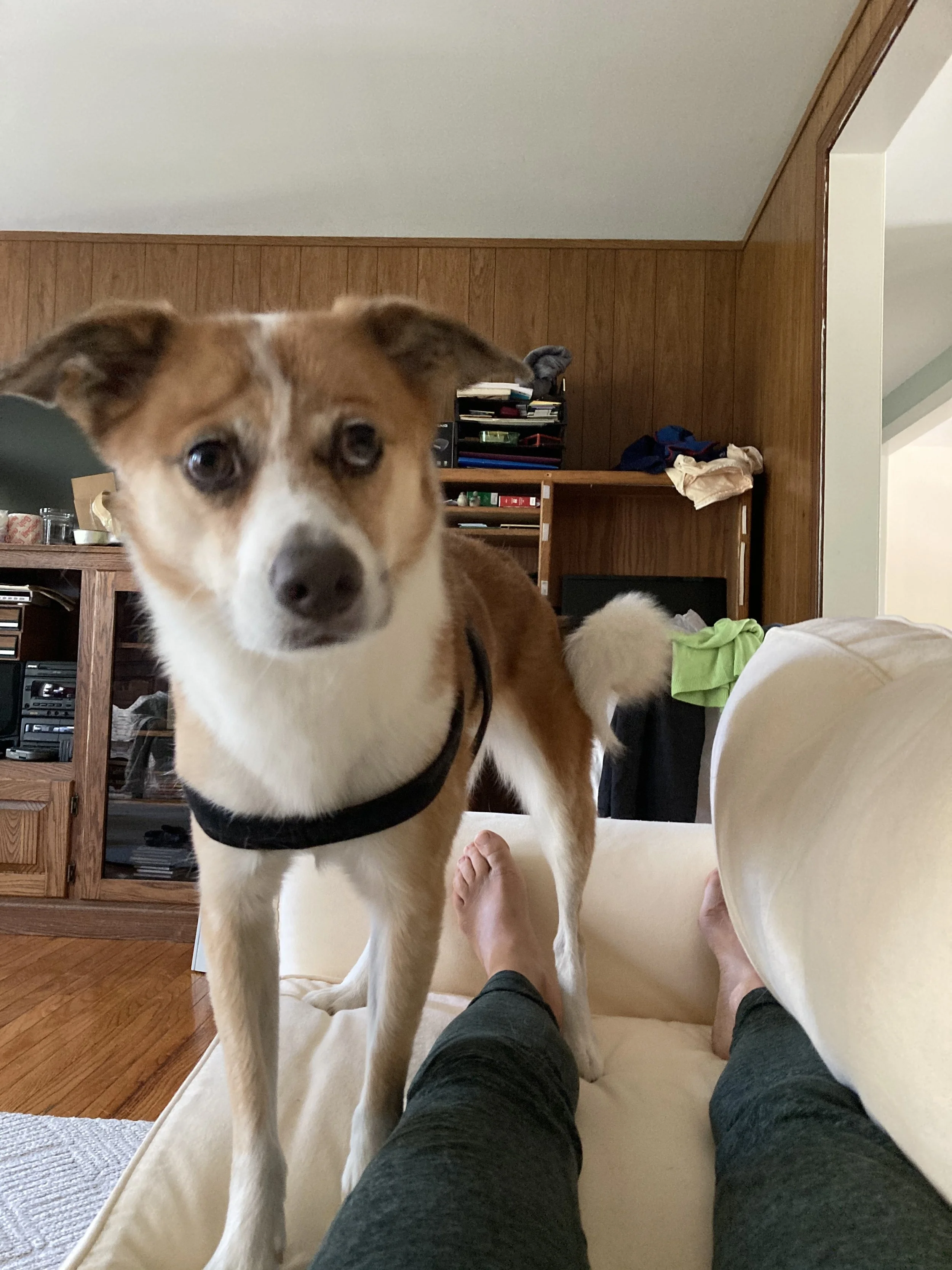 IMG_1599.jpeg