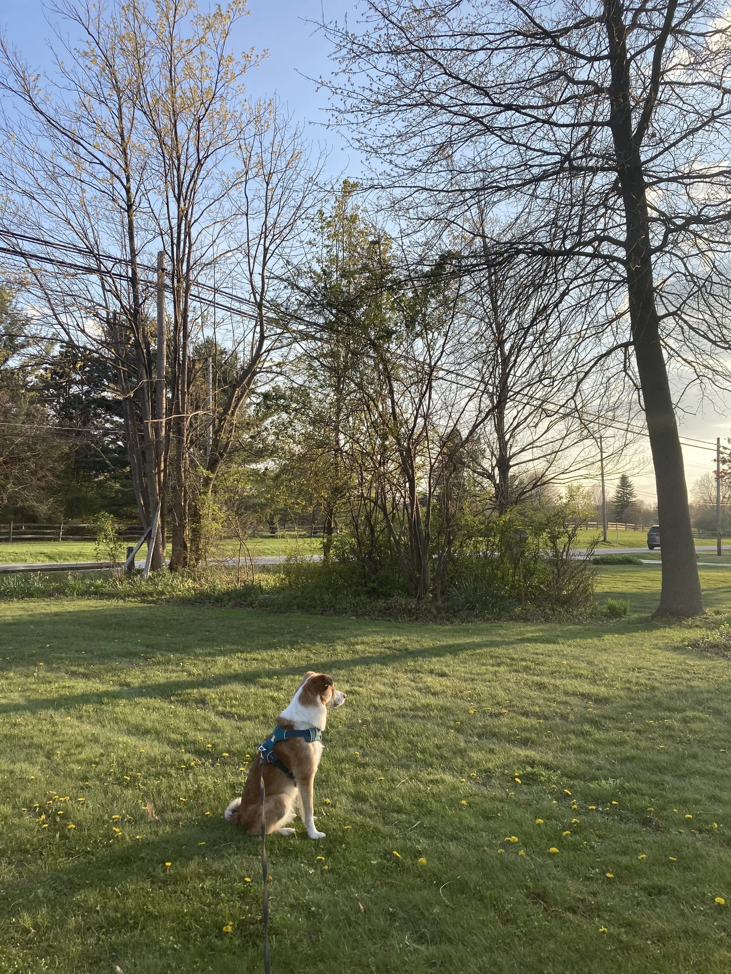 IMG_5582.jpeg