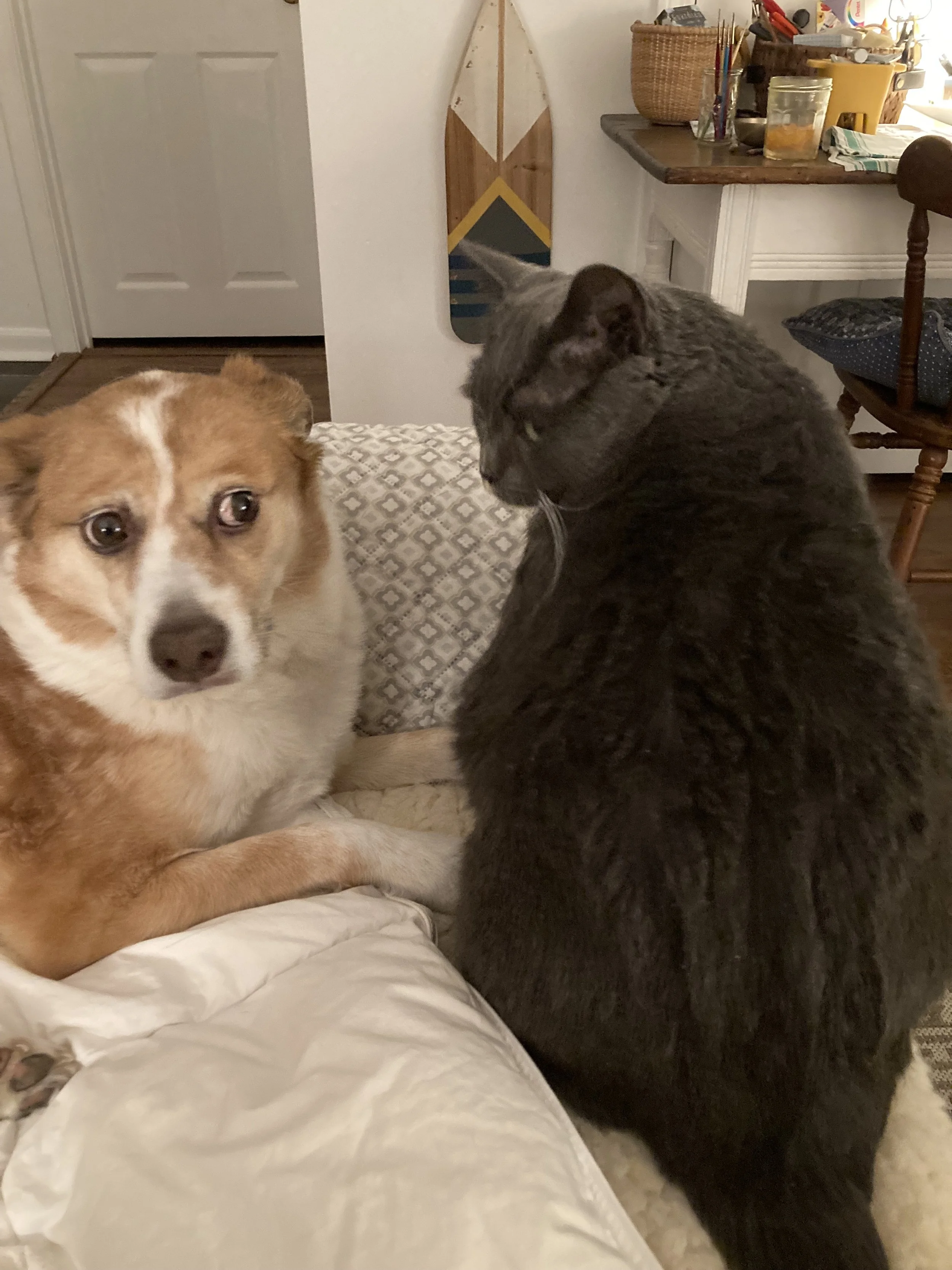 IMG_0197.jpeg