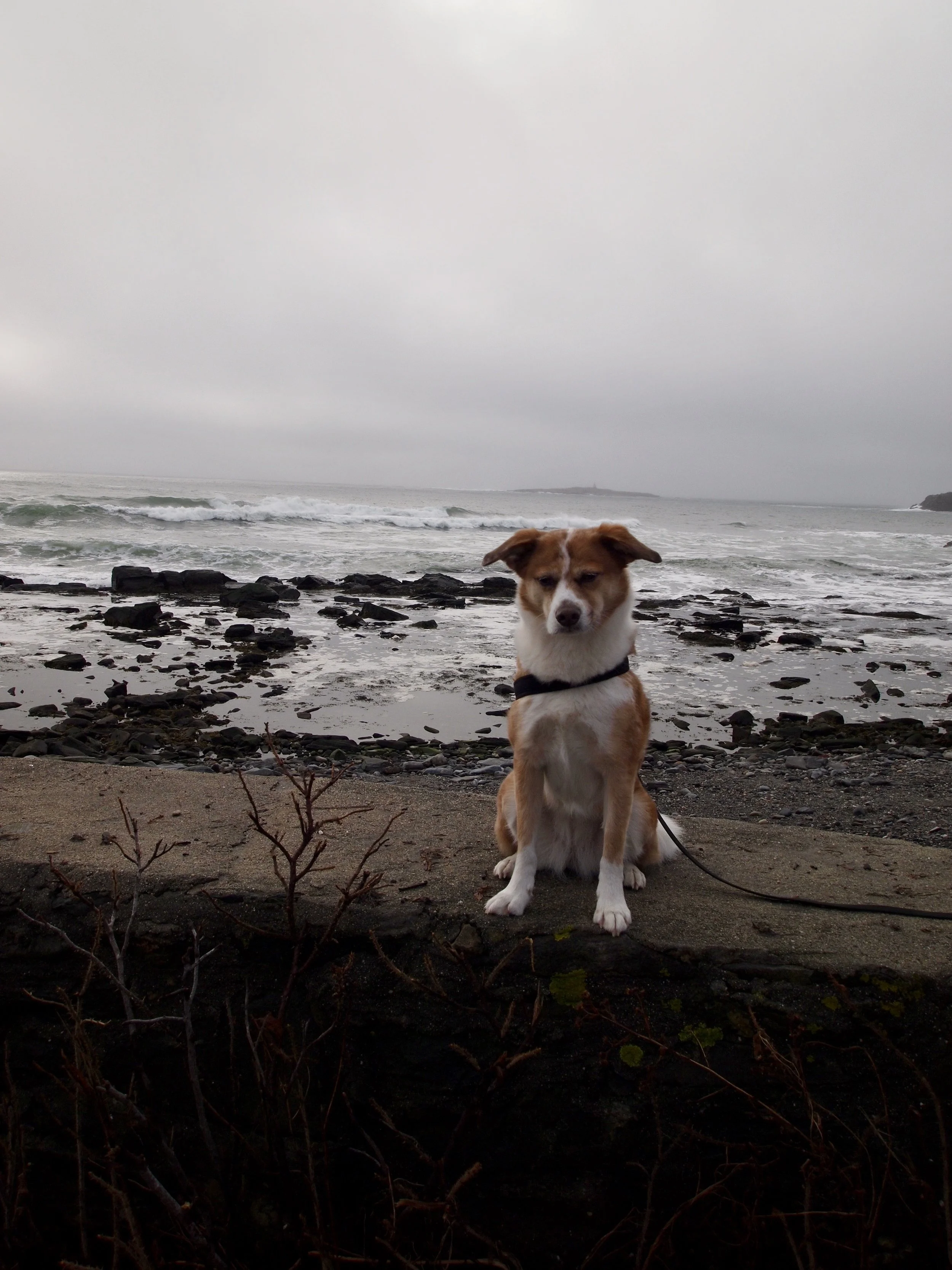 P1012475.jpeg