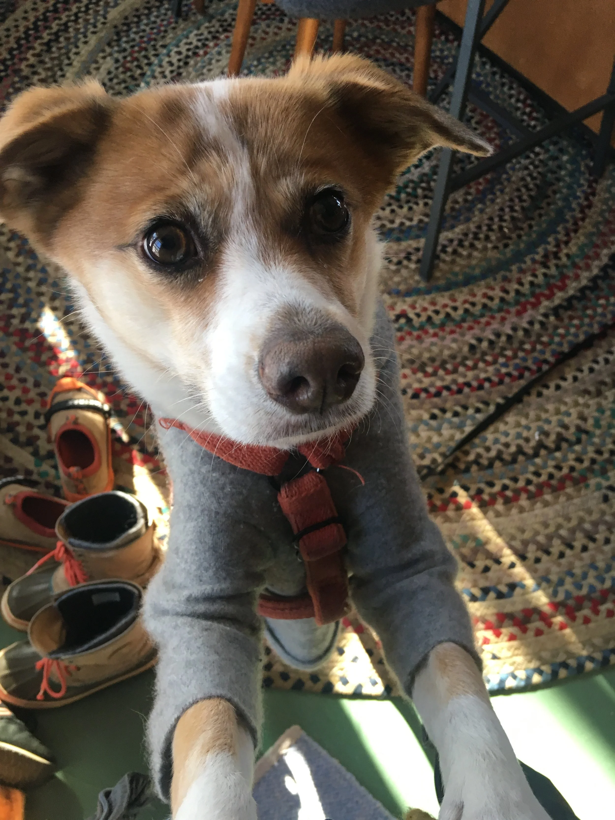 IMG_0525.jpeg