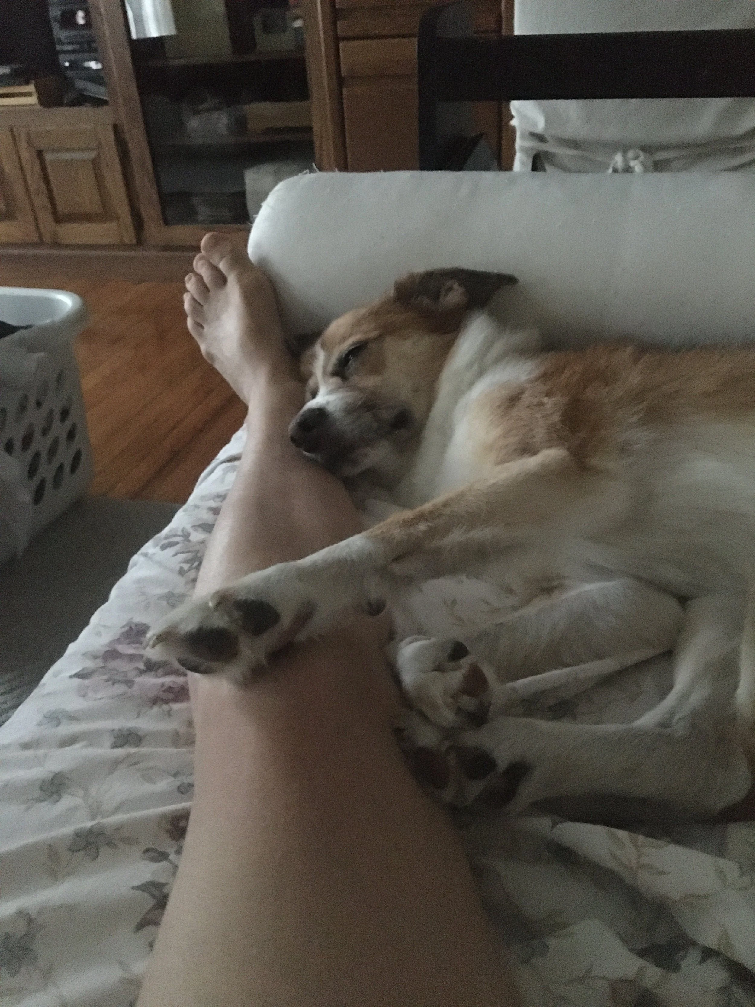 IMG_1720.jpeg