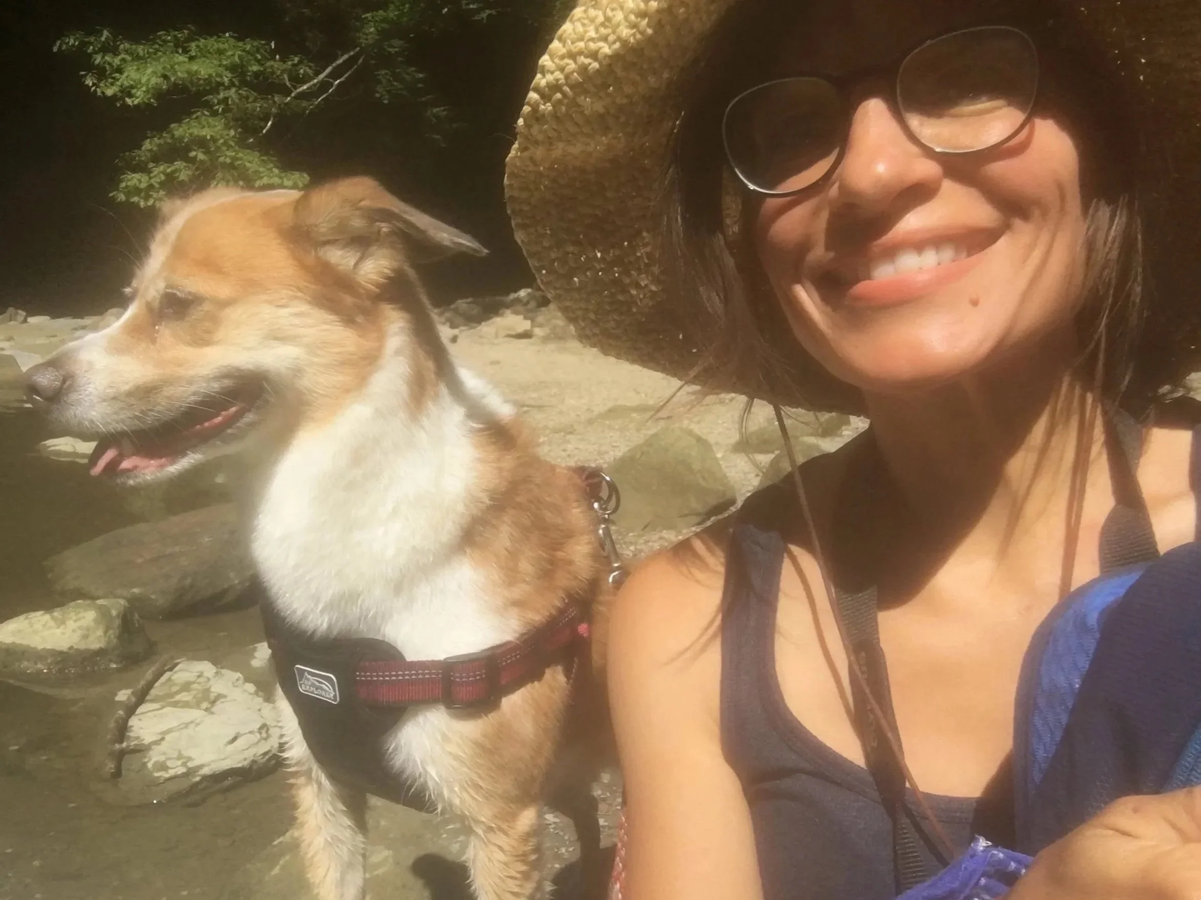 A woman wearing glasses and a wide-brimmed straw hat smiling and taking a selfie next to a happy dog with a red harness. They are outdoors, with trees and rock surroundings.