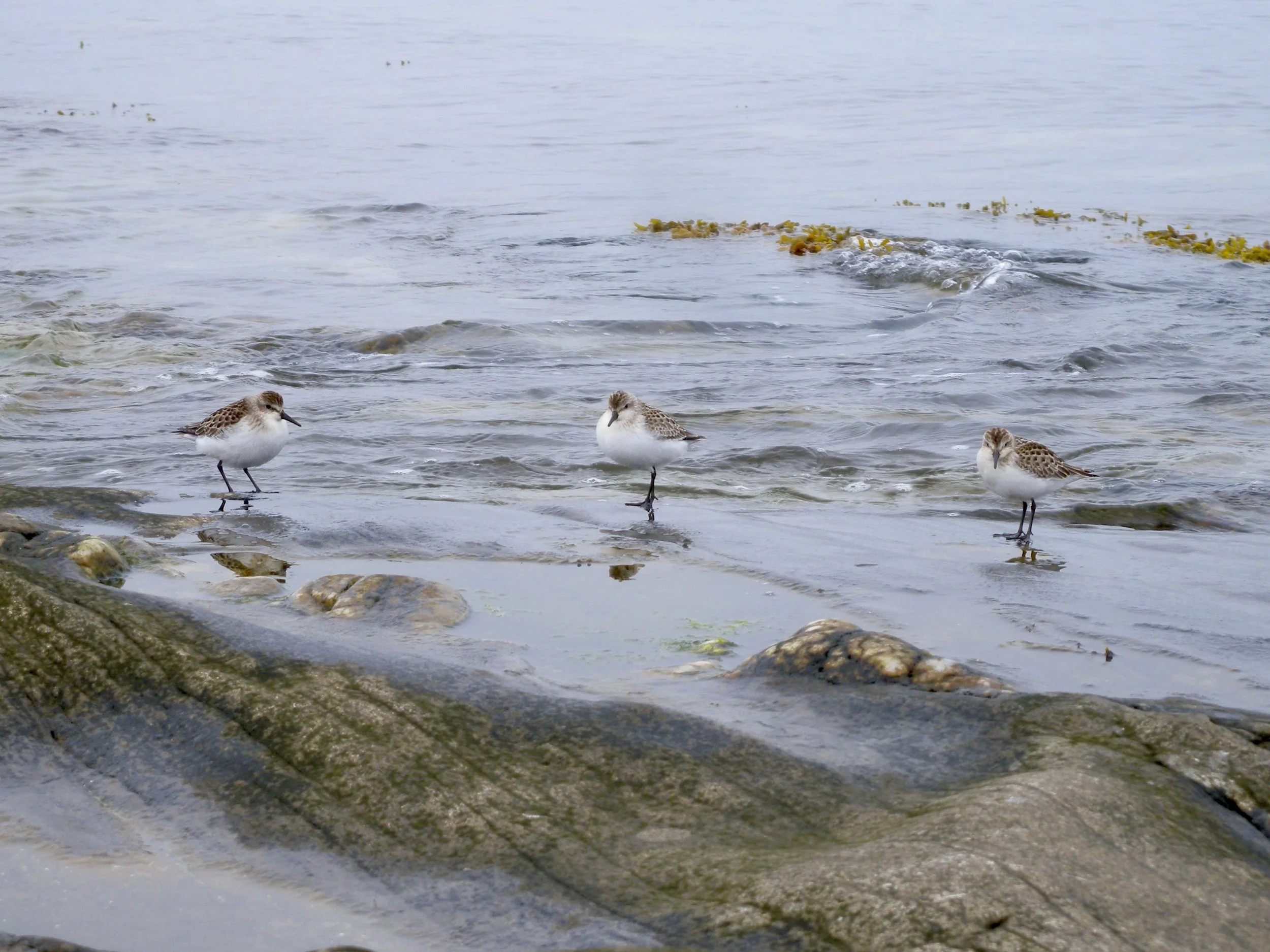 DSCN7058.JPG