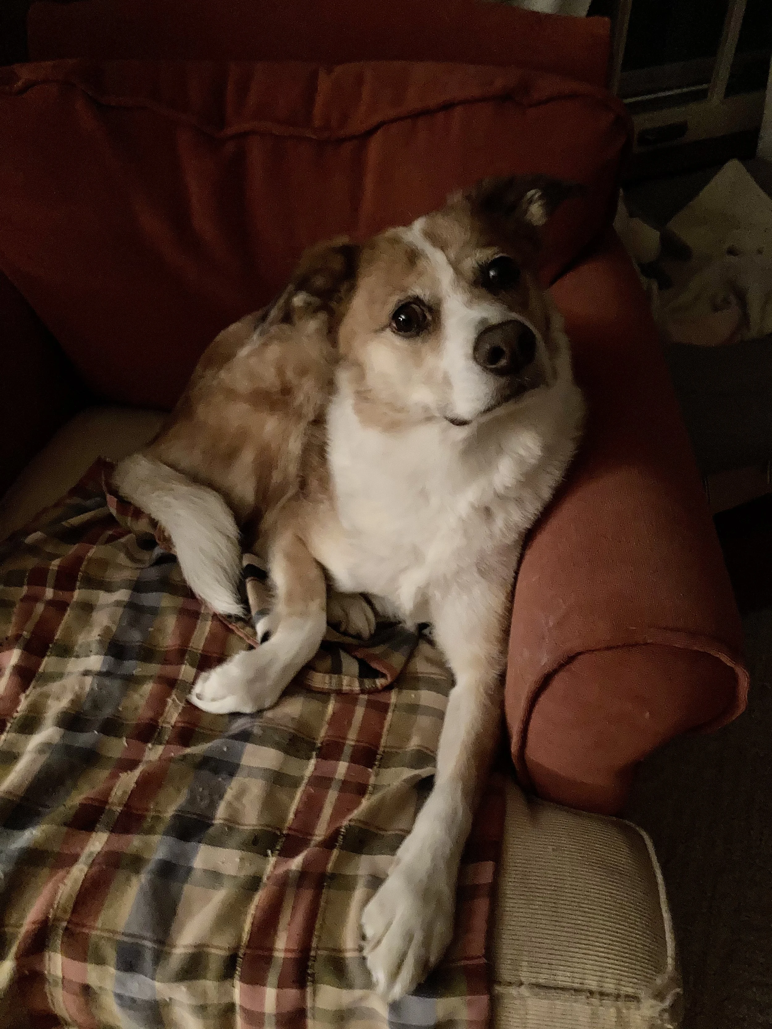 IMG_2719.jpeg