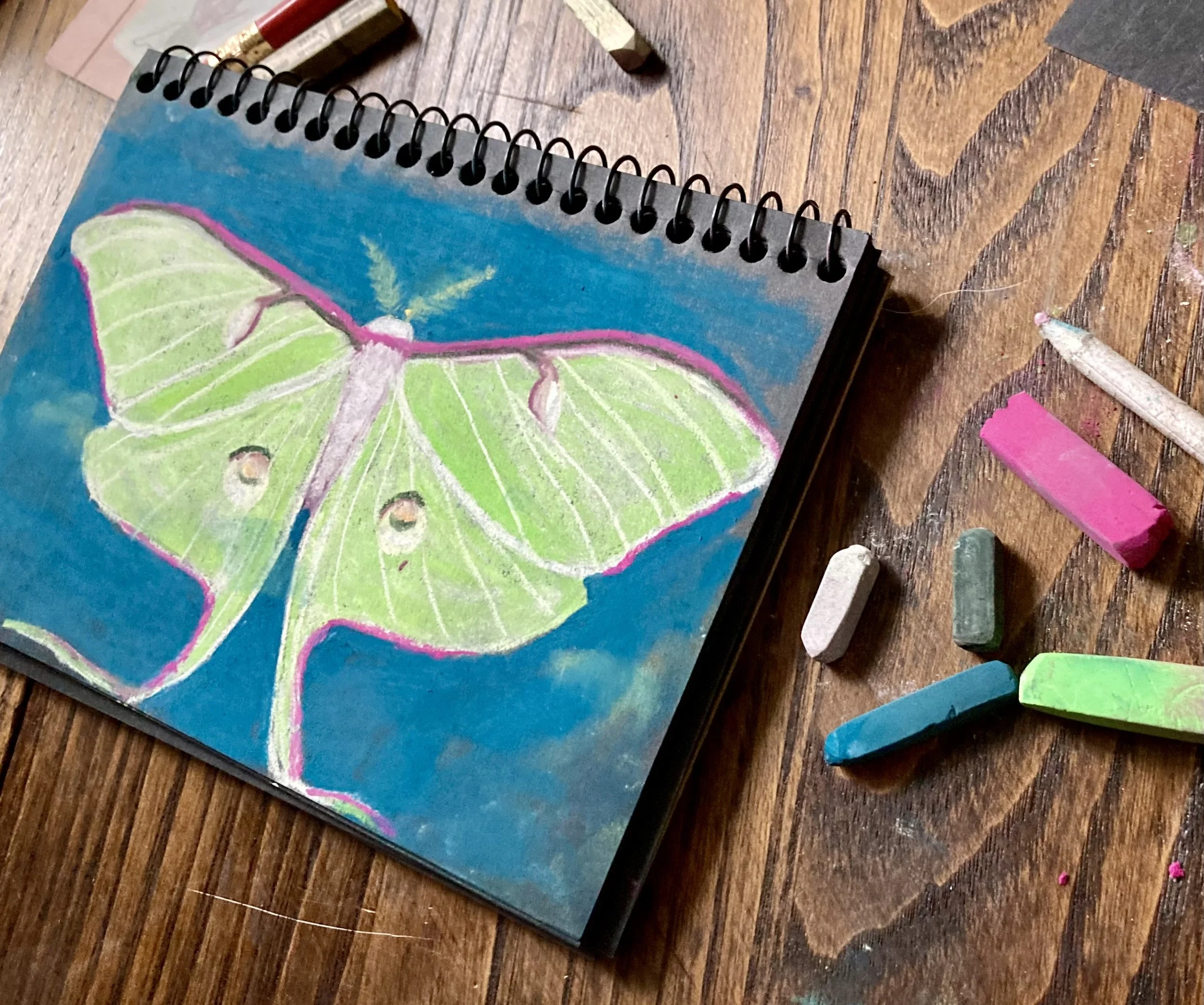 Luna moths appeared for weeks after my mom died. They felt like messengers.