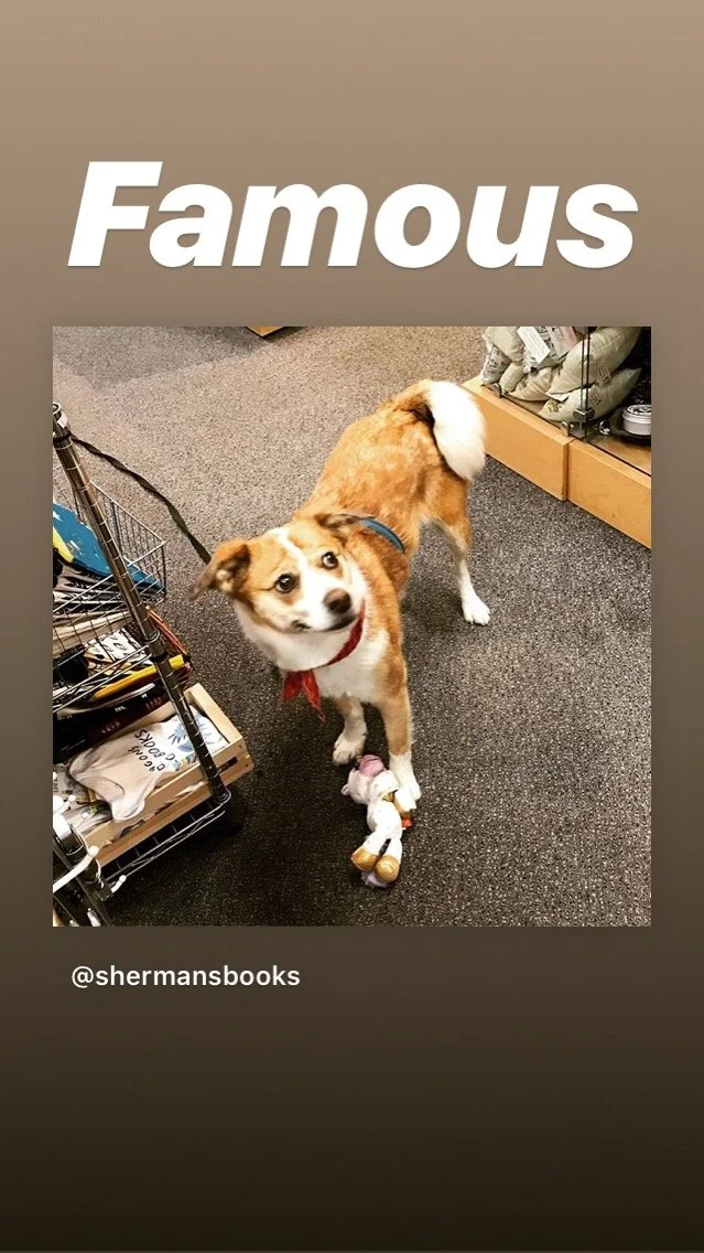 210A0399-FEF6-4E25-AF92-A005CF313336.jpeg