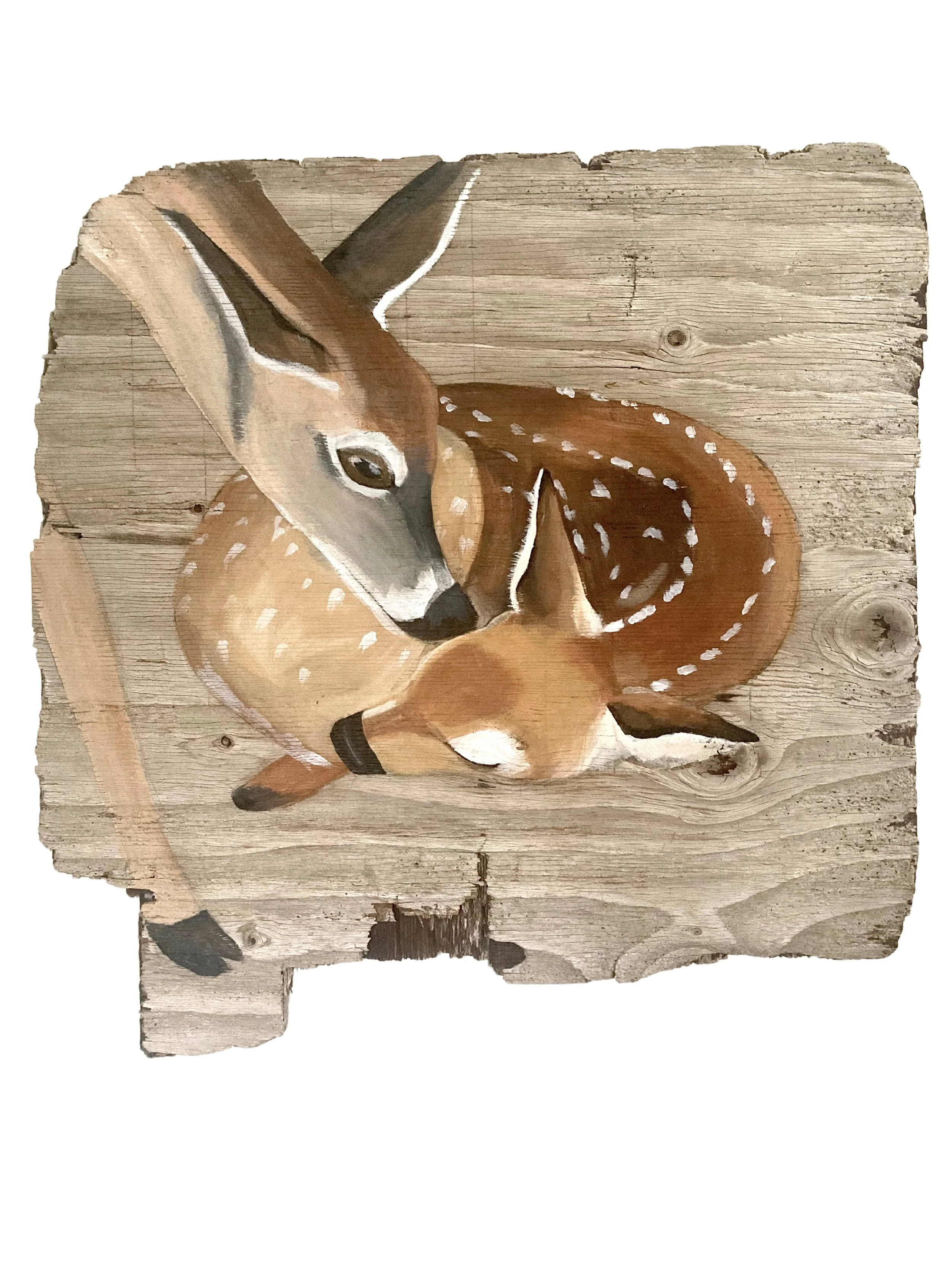 "Lineage", Deer on Driftwood Board