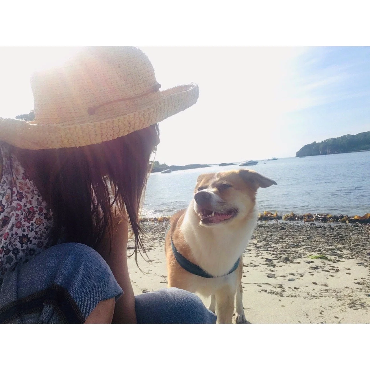 Whitagram-Image.jpeg