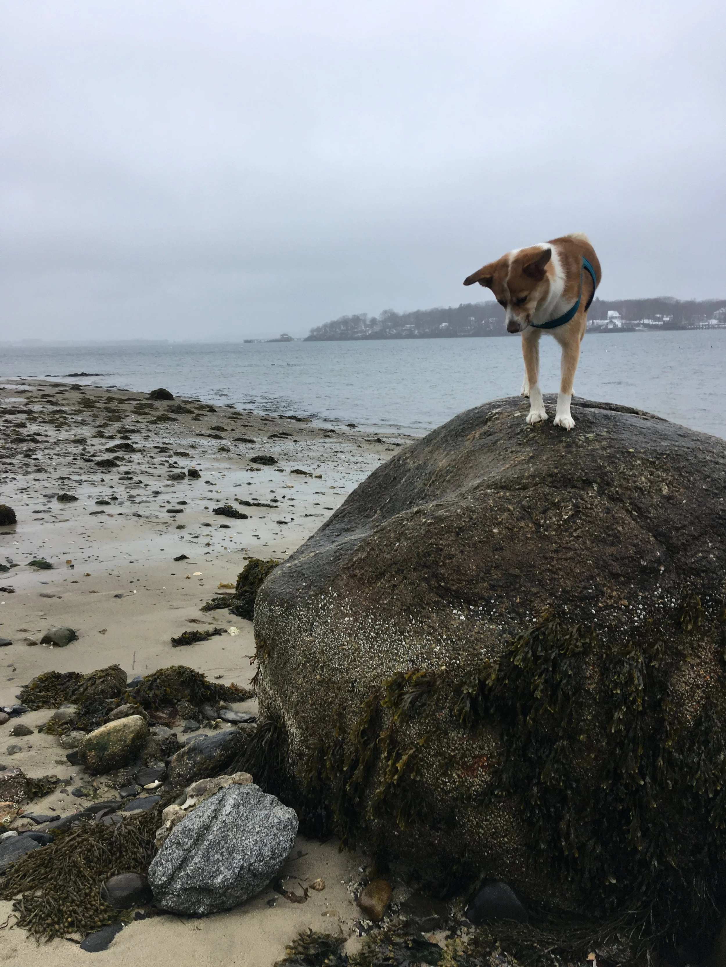 IMG_4891.jpeg