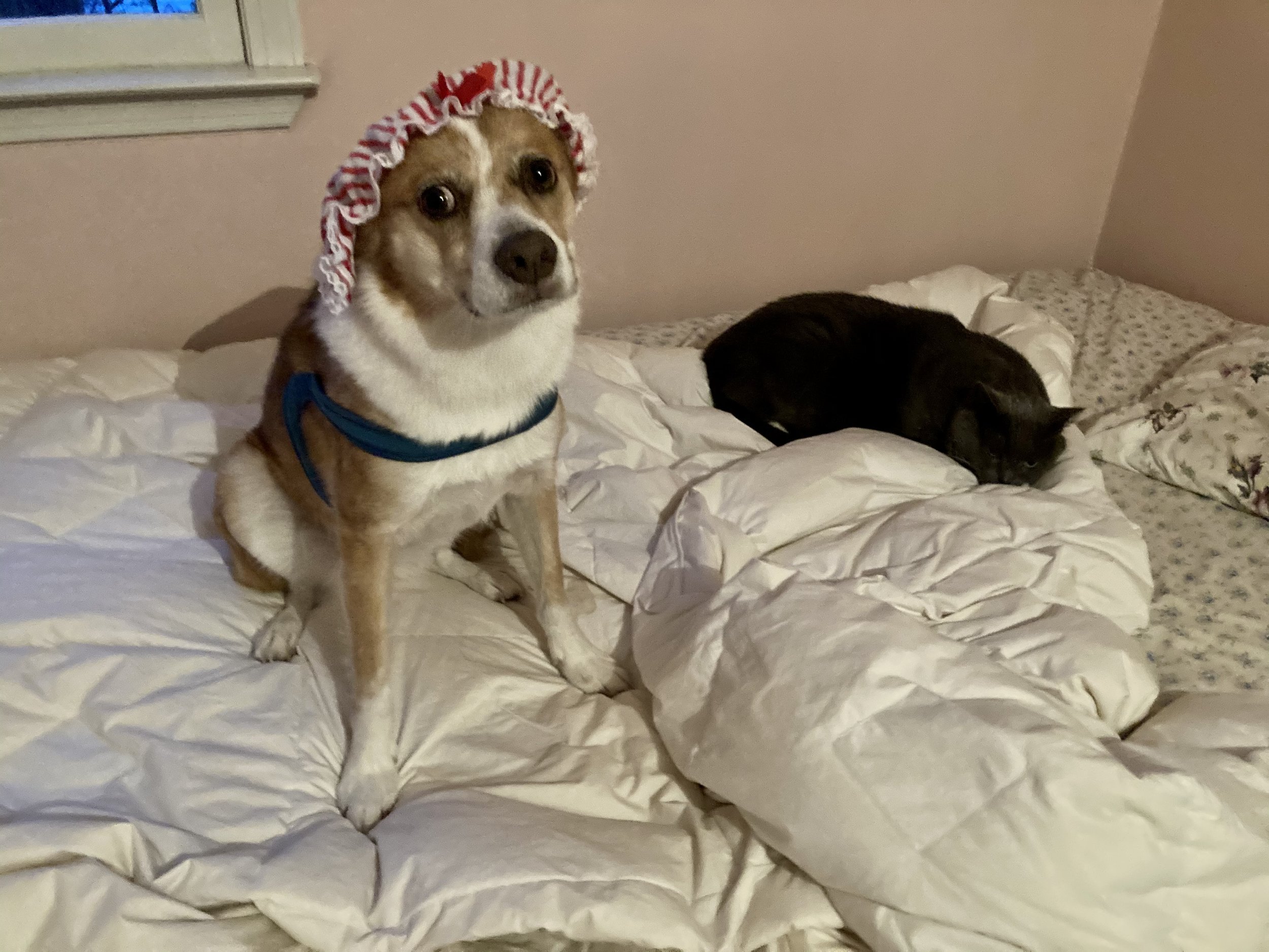 IMG_6911.jpeg