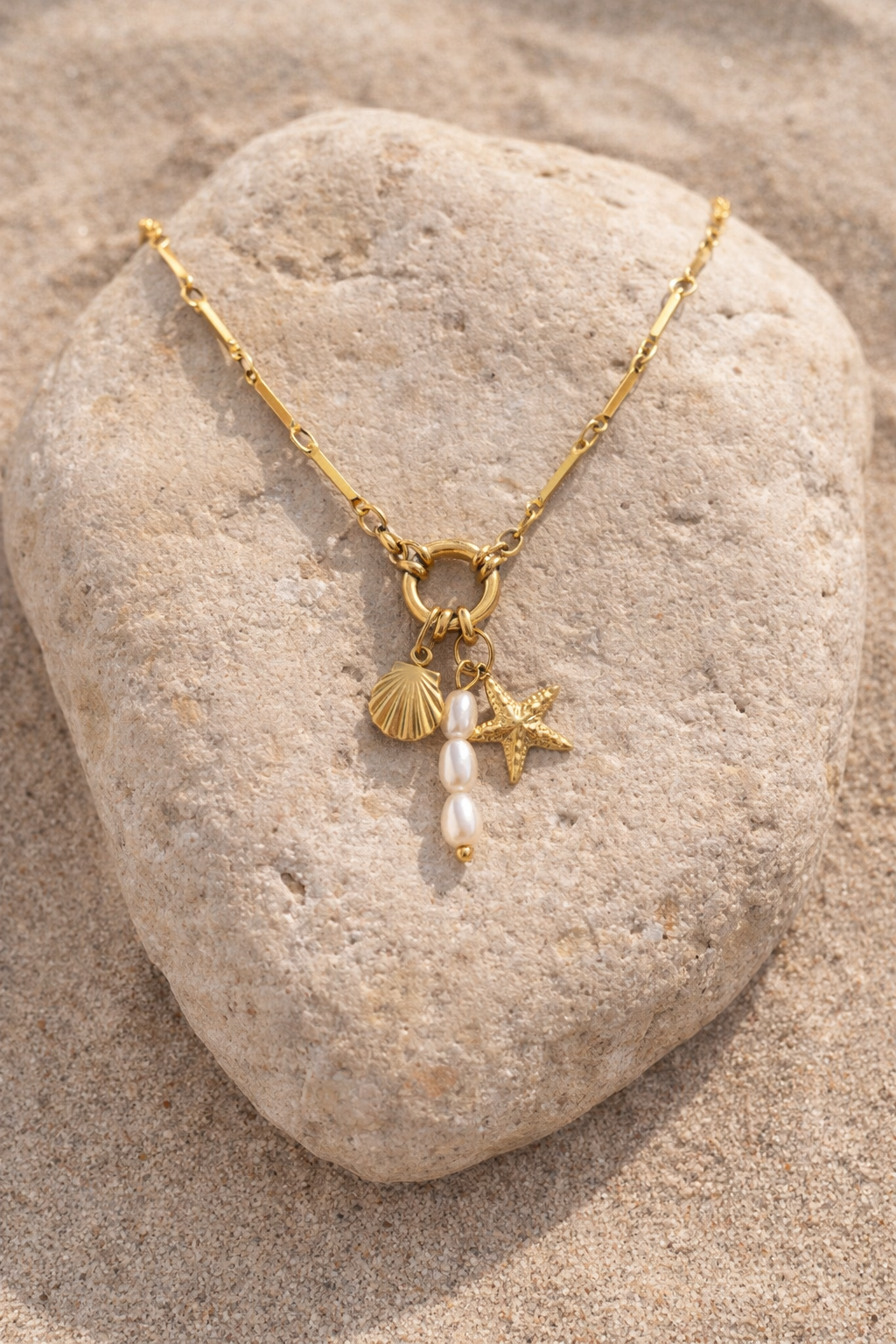 ChatGPT Image Feb 24, 2026 at 12_56_01 PM.png