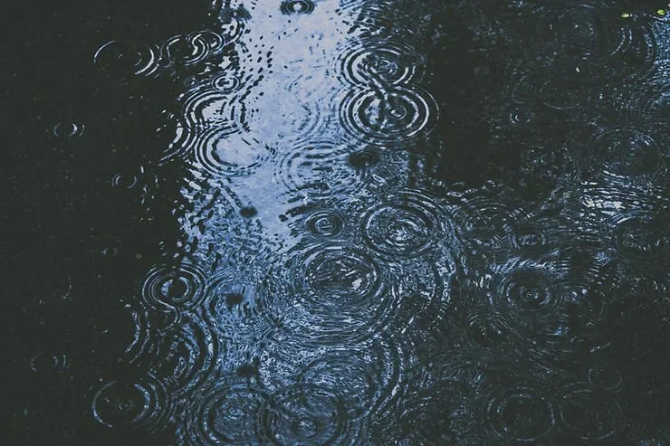 Got Water Damage? You Might Have Mold, Too