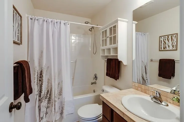 How to Prevent Mold Growth in Your Bathroom